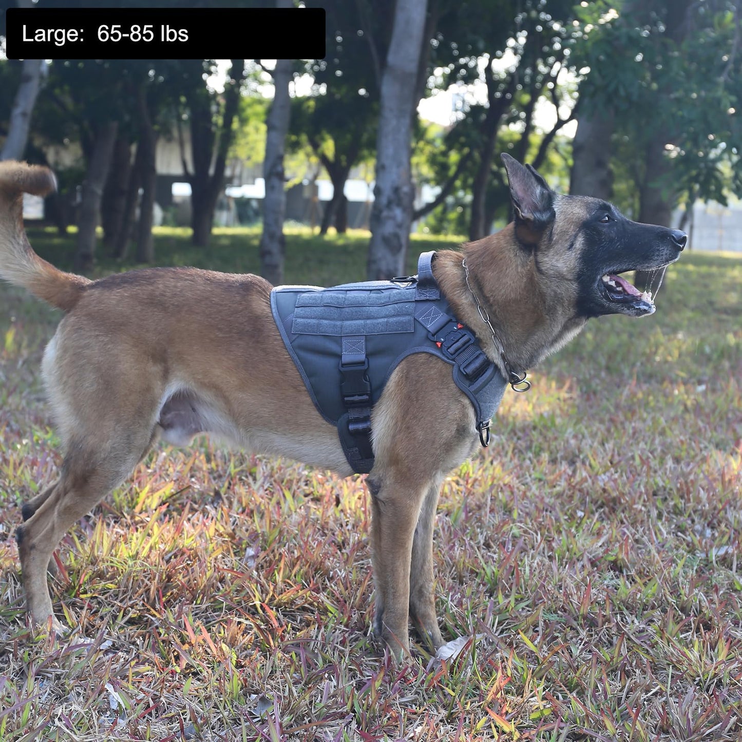 ICEFANG Tactical Dog Harness,Large Size, 2X Metal Buckle,Working Dog MOLLE Vest with Handle,No Pulling Front Leash Clip,Hook and Loop Panel