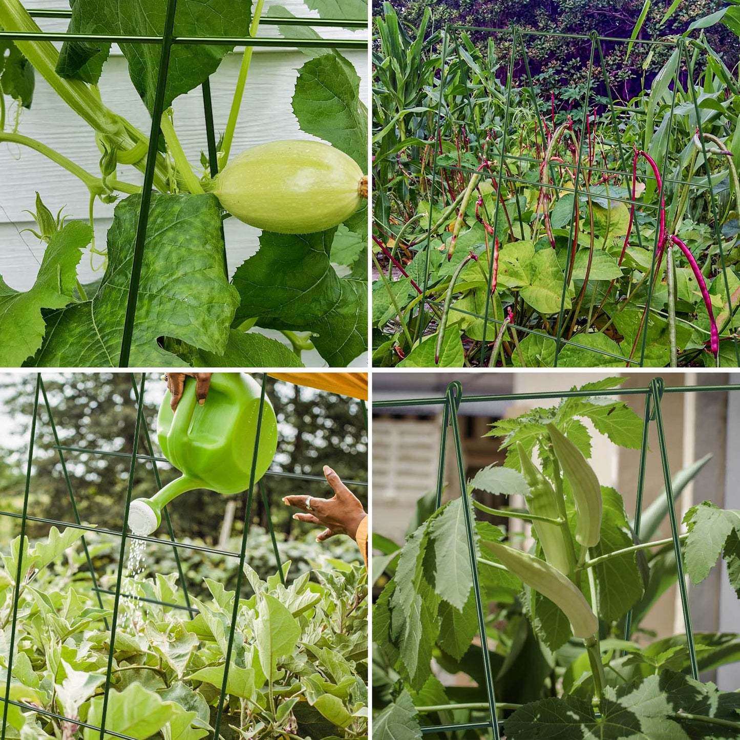 Kyrieval 48 x 18 Cucumber Trellis, Foldable Metal A-Frame Trellis for Raised Beds, Small Garden Plant Support for Cucumbers, Peas and Climbing Vegetables