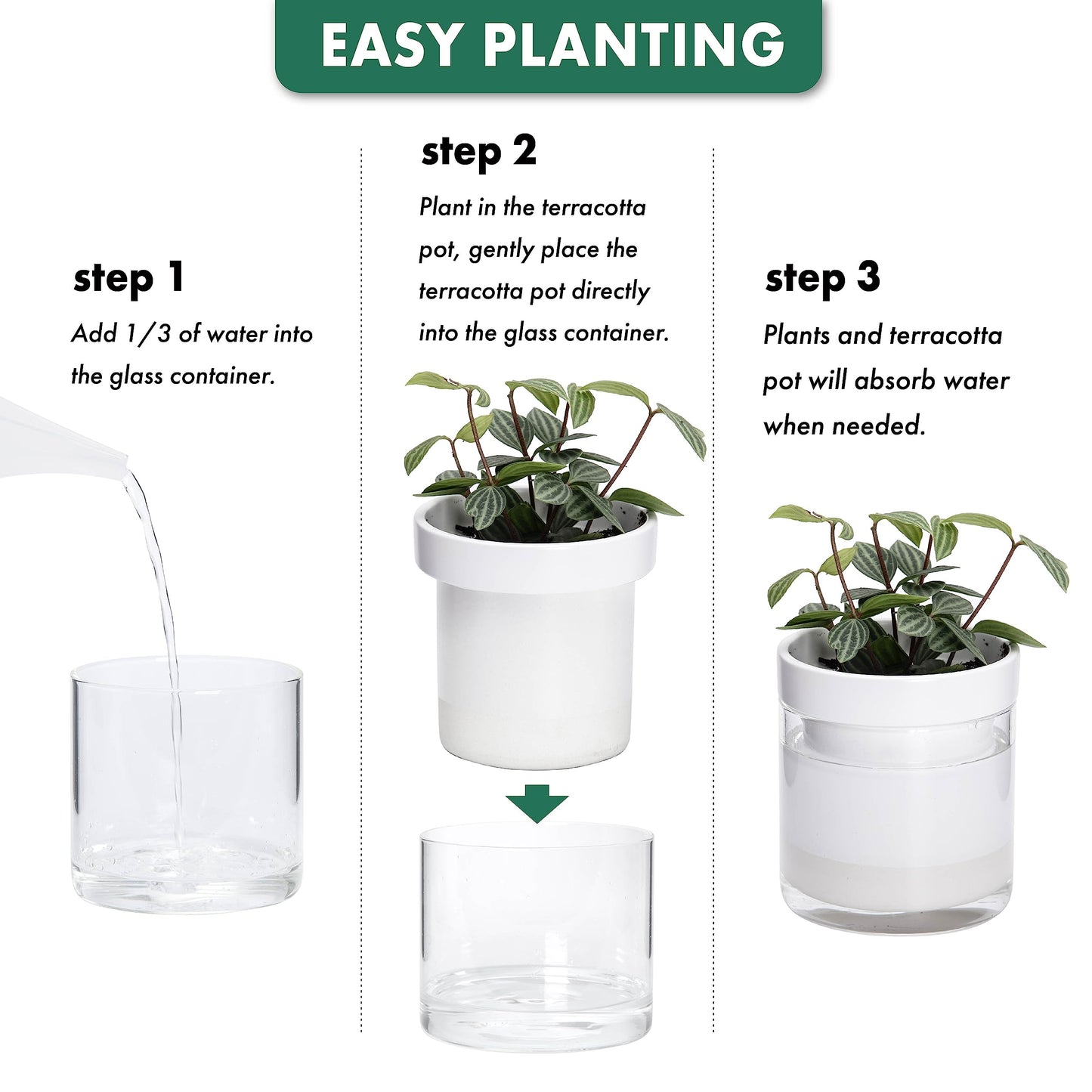 Phoenix Vine 4 Inch Self Watering Planter, White Terracotta Clay Pot with Glass Reservoir for Indoor Plants, Herbs, Flowers, Set of 1, 52-B-E-1