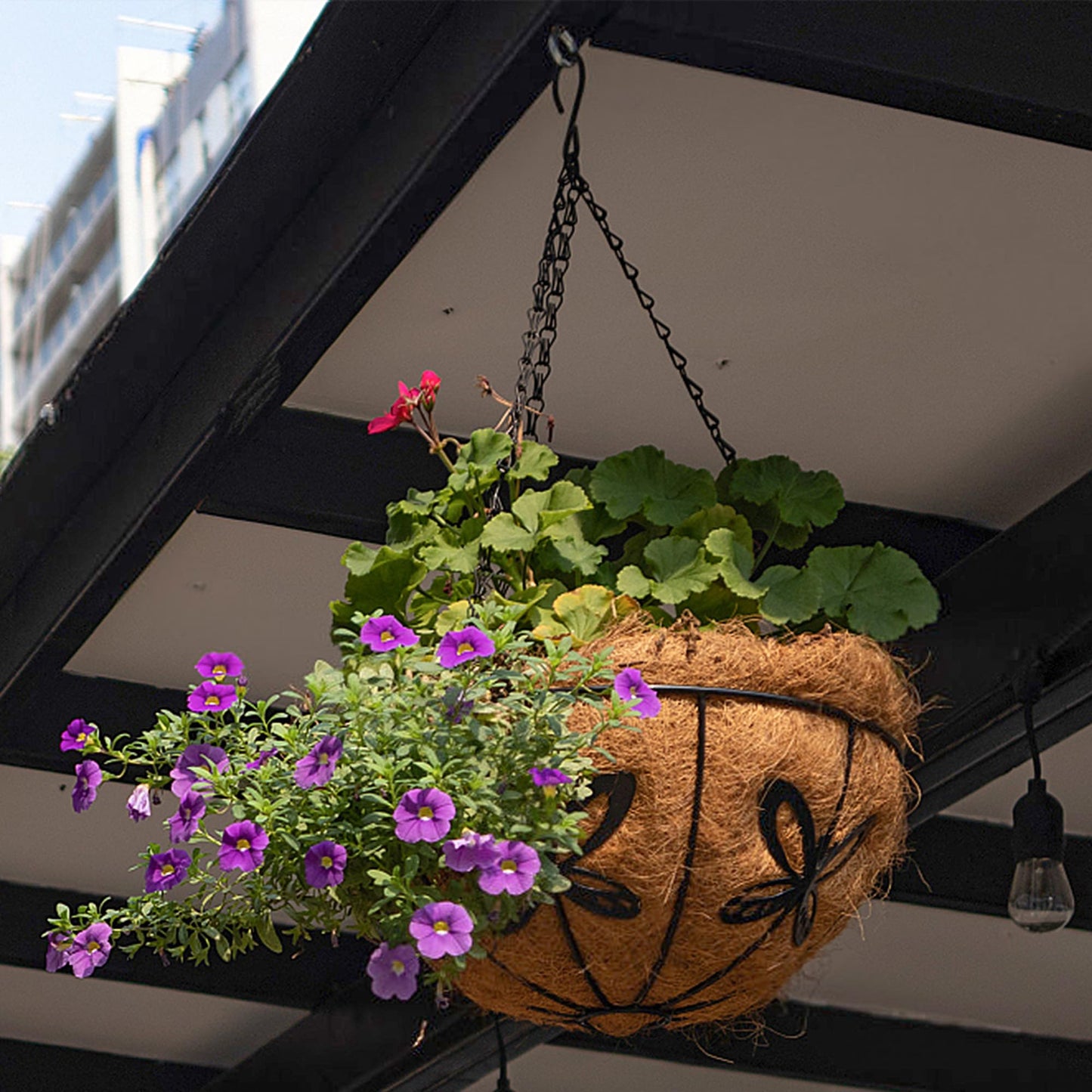 ARVINKEY Hanging Baskets Planter for Plants, 2 Pack 14 Inch Round Metal Wire Hanging Flower Pots with Coco Coir Liner Chain, Plant Holder for Home Garden Balcony Decor