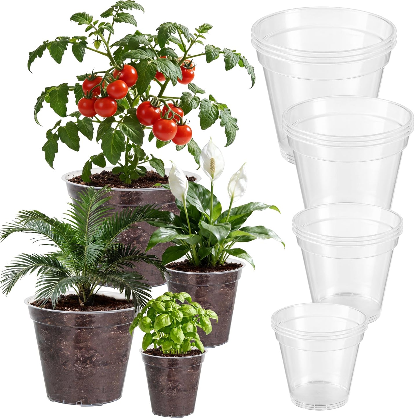 Simihiran 12 Pcs 8/9/10/12 Inch Large Clear Nursery Pots with Drainage Holes - Variety Pack Transparent Plant Pots for Orchids Succulents Indoor Outdoor Root Health