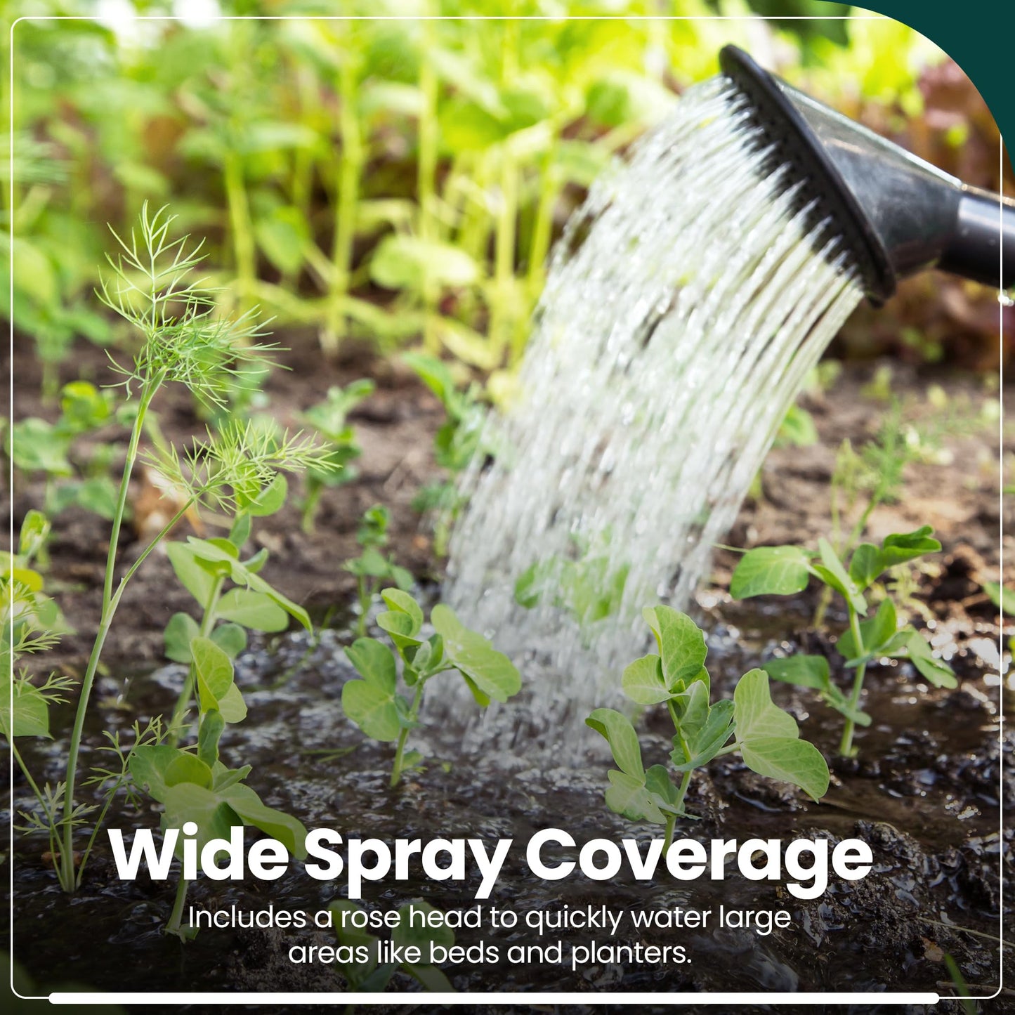 Hardys 10L Green Rose Watering Can - Outdoor & Indoor Watering Can with Detachable Sprinkler Rose Head, Long Spout Water Can for Houseplant & Garden Plants