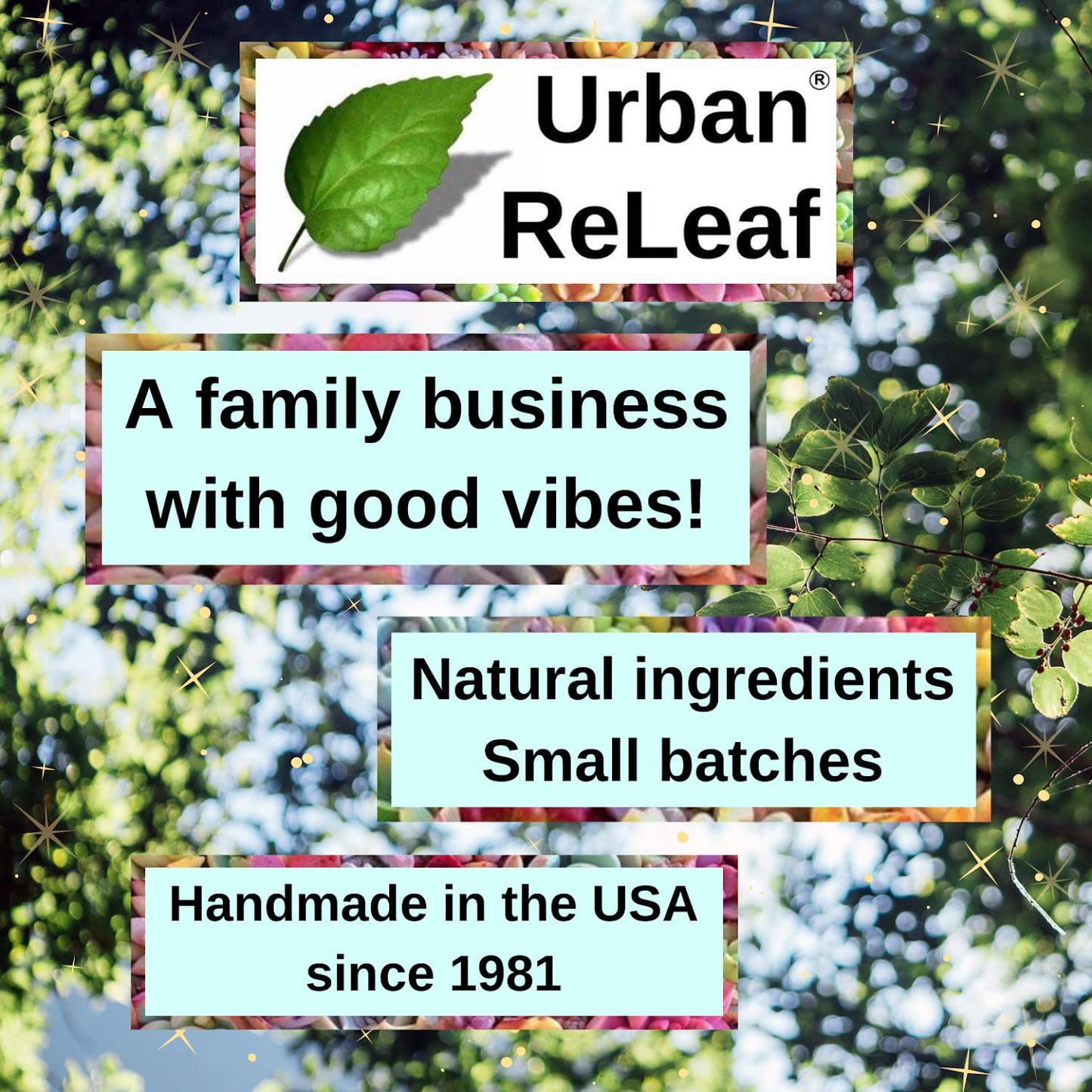 Urban ReLeaf BLESSING SALT! Blessed Dead Sea Salt from the Dead Sea. Holy Ceremony Wedding Anointing Baptism Meals Housewarming, Bless Family, Home, Special Occasions. Purify, Meditate, Cleanse, Sacrament