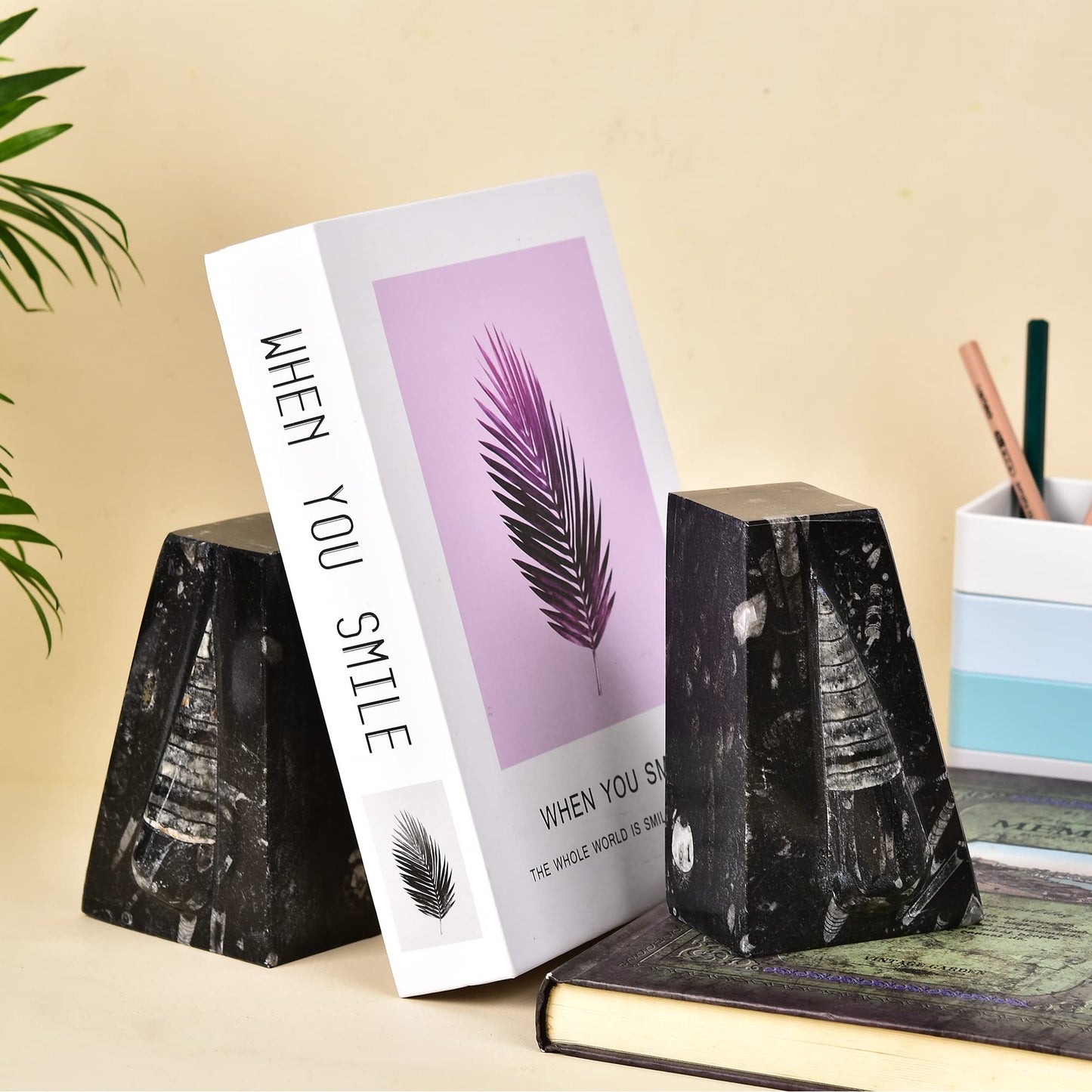 JIC Gem Natural Orthoceras Fossil Bookends-Black Fossilized Wedge Shaped Bookends with Rubber Bumpers for Office and Home Decoration Frome Morocco (1 Pair 4-5lbs )