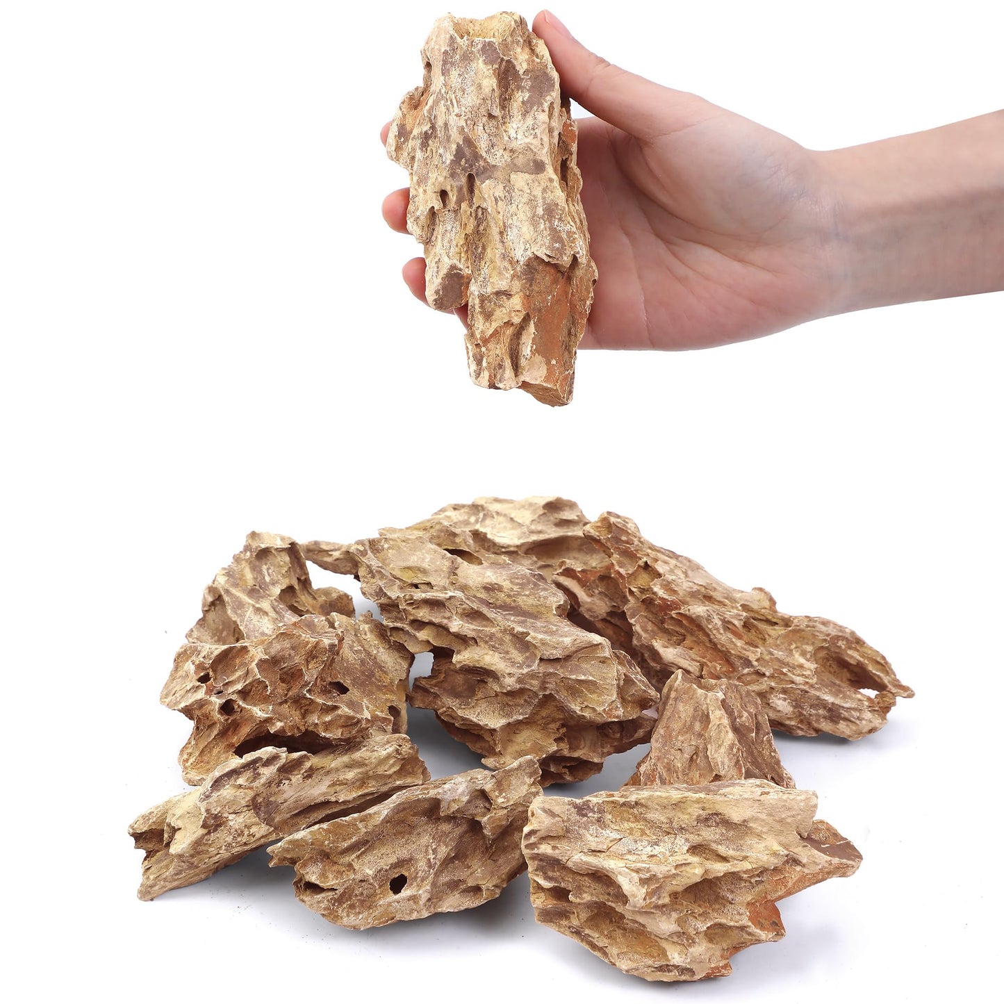 FISCAPE 10 Natural Aquarium Rocks 2" to 4" Perfect Rocks for Aquariums, Landscaping Model,Tank Decoration, Amphibian Enclosures-Dragon Stones