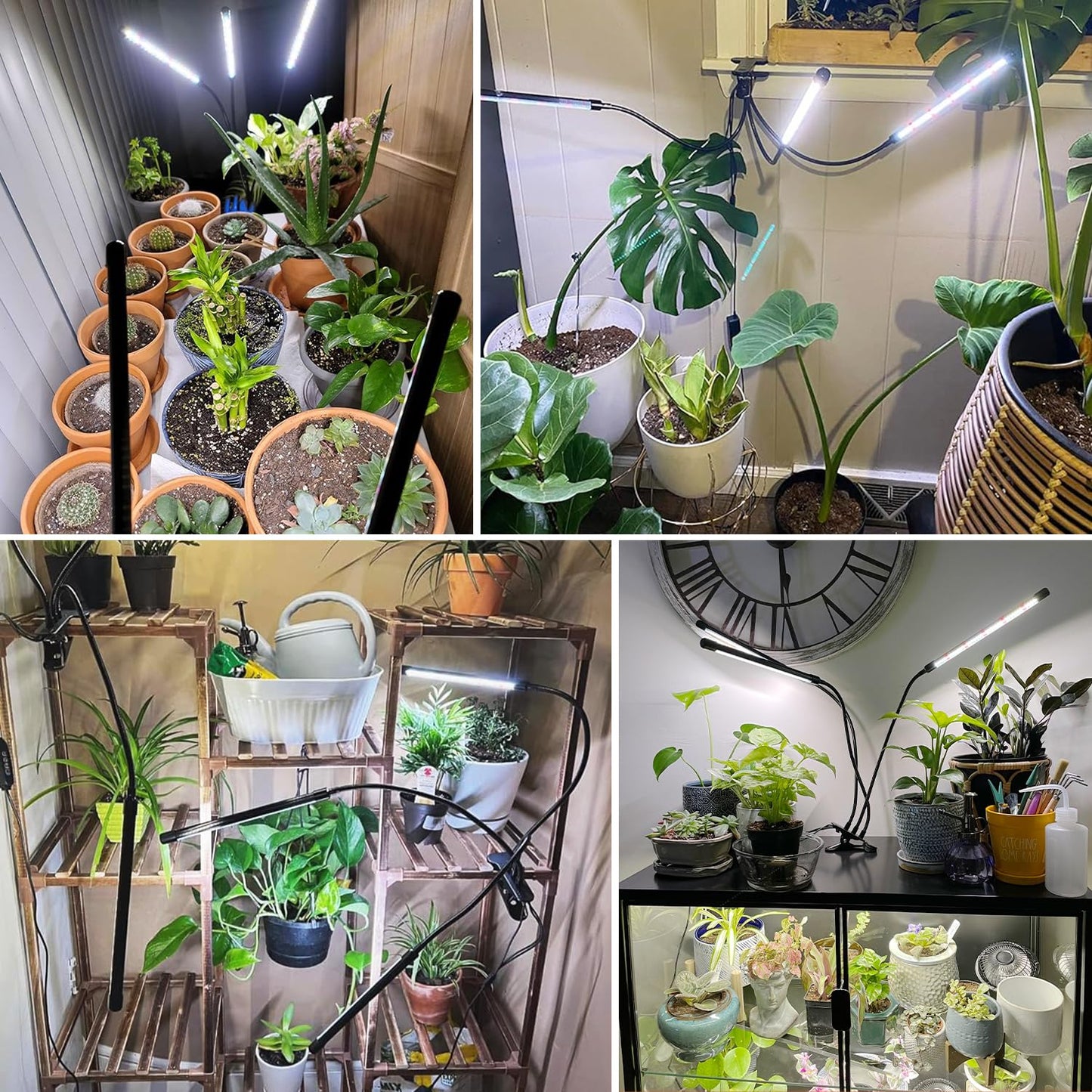 wolezek Grow Lights for Indoor Plants, 2 Pack 6000K Full Spectrum Plant Lights Indoor, White LED Plant Growing Lamp with Auto ON & Off Timer 6/12/16H, 3 Modes, 5-Level Dimmable Brightness