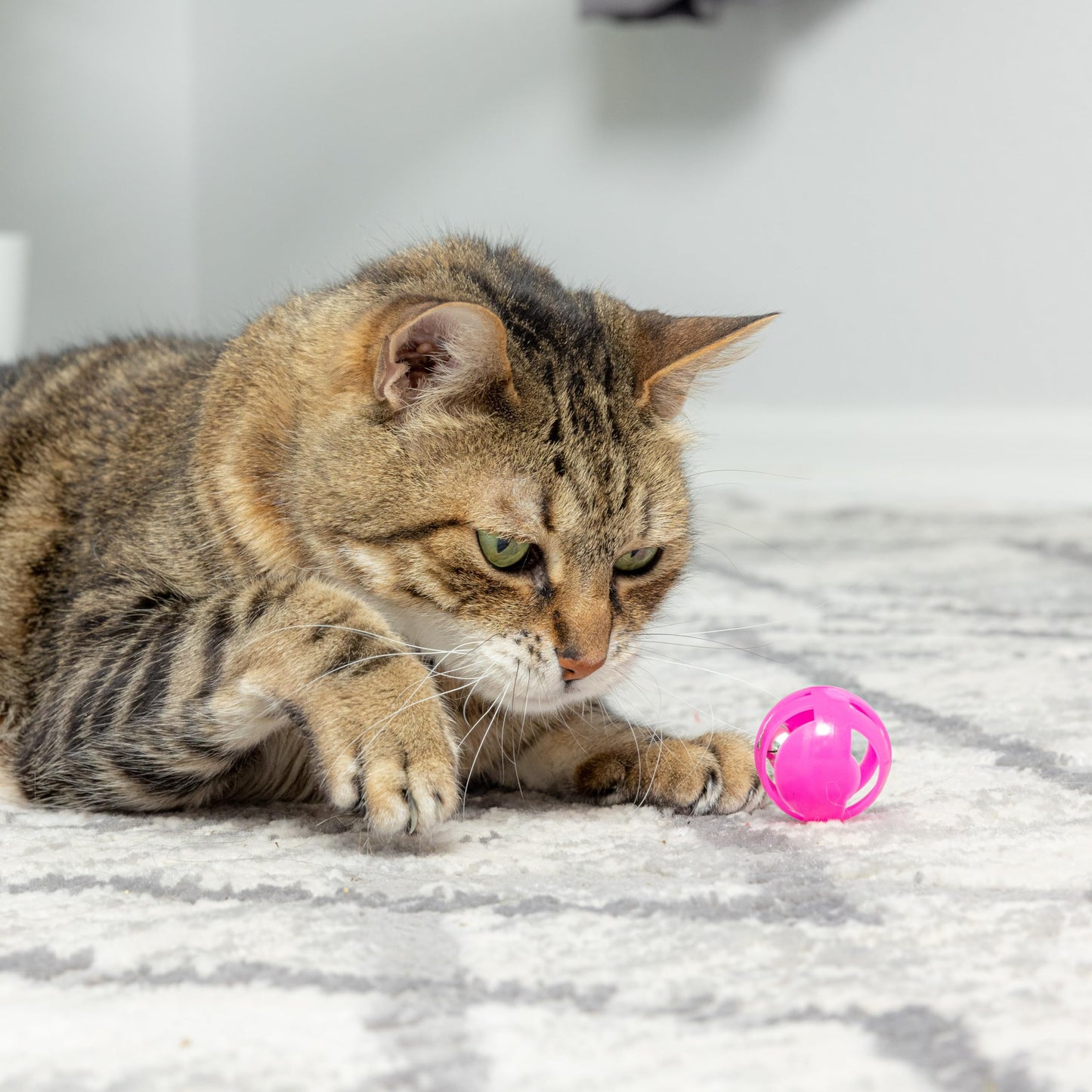 SPOT Slotted Balls Cat Toy - Interactive Cat Toys for Indoor Cats to Chase, Hunt and Stimulate - Jingle Bell Inside for Sound When Batted Around - Safe and Non-Toxic - 1.5" Assorted 4-Pack