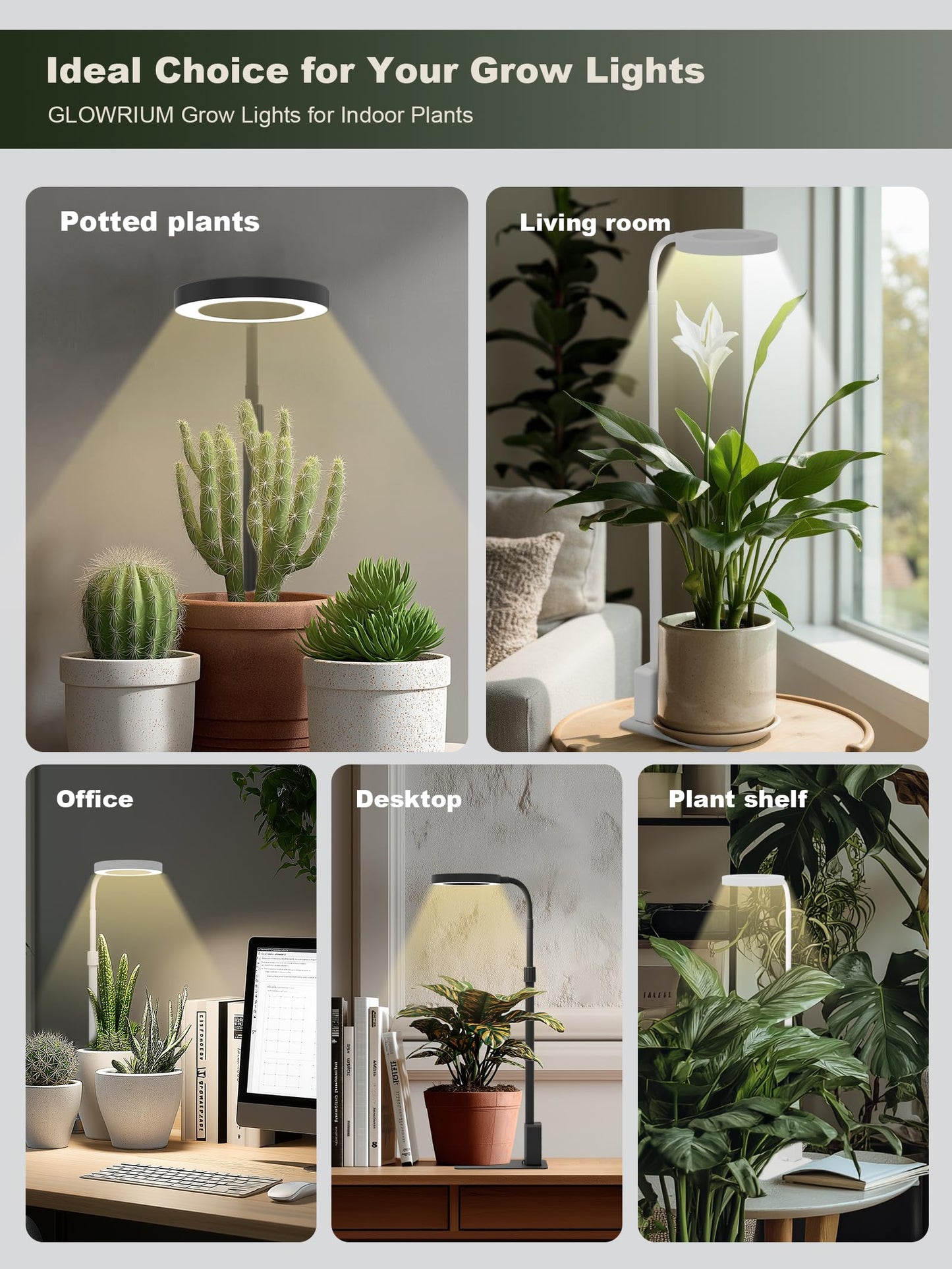 GLOWRIUM Smart LED Grow Lights for Indoor Plants G4, 12W Full Spectrum 3500K with Grow lamp, Bluetooth App Control, 10-Level Dimming, Gooseneck, Height Adjustable 16"-23", Auto Timer, (Black 12W)