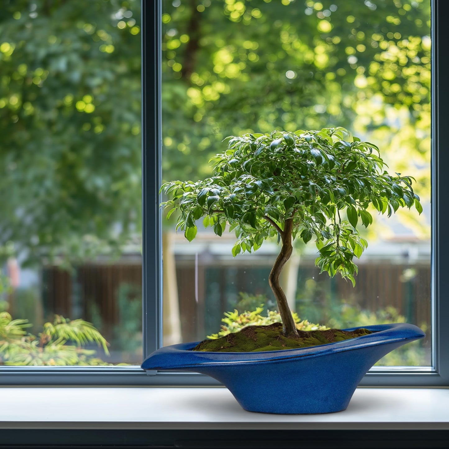 Teagas Bonsai Tree Pot 18 Inch - Ceramic Succulent Pots Large Bonsai Planter for Indoor Outdoor Plants Decorative Plant Pot with Drainage Hole Flower Pot for Home Garden Room Decor Blue