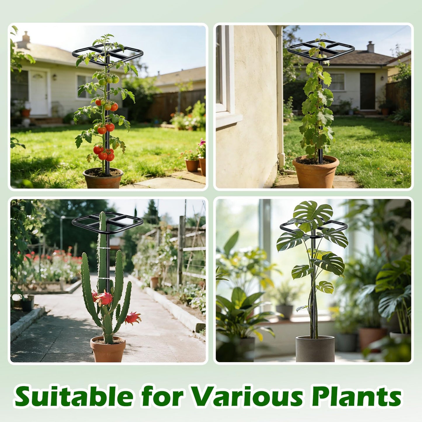 Ansonation Extra Thick Adjustable Dragon Fruit Trellis,Durable Metal Plant Trellis Outdoor Climbing Plants Support Frame for Vertical Gardening Trees Cactus Black