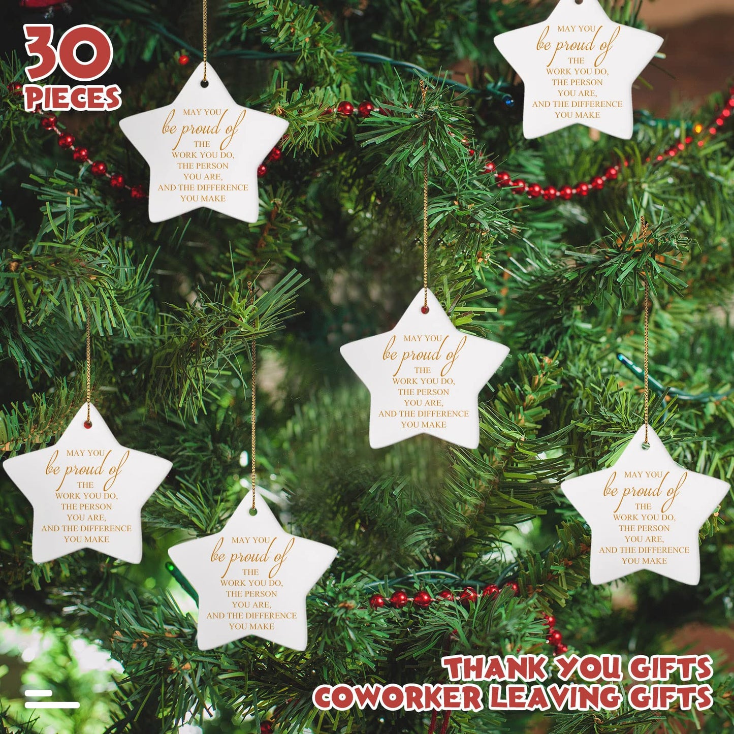 Sieral 30 Pieces Christmas Appreciation Gift for Employee Women Star Shaped Ornaments Thanksgiving Ceramics Hanging Plaque Keepsake Christmas Tree Ornaments for Customer Service Vet Tech Week Nurse