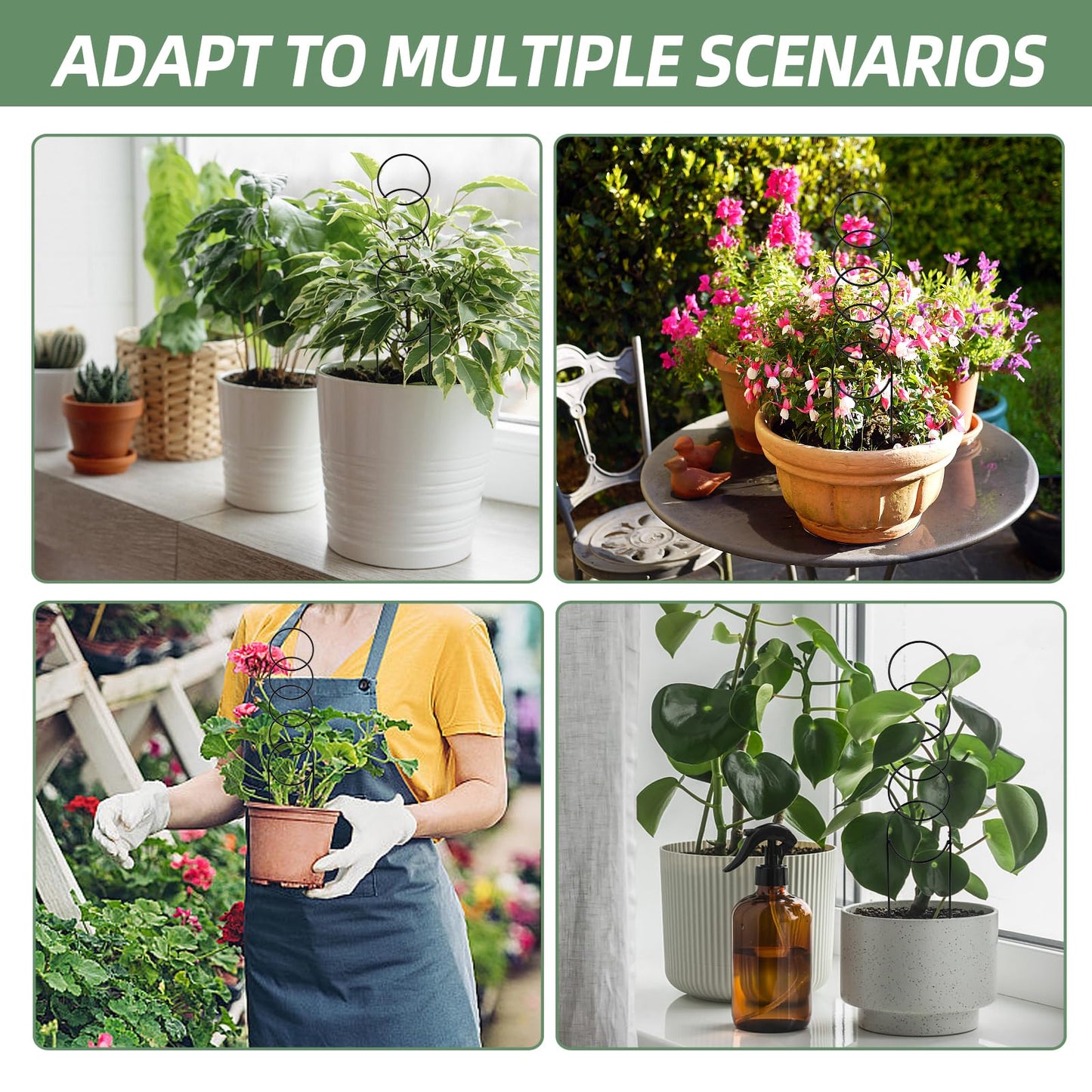 17.5 Inch Plant Trellis Indoor for Climbing Plants,Metal Trellis,Small Garden Trellis for Potted Plants,Plant Stakes for Indoor Plants Accessories Hoya,Flower,Plant Support,Plant Gifts(Circular-Metal)
