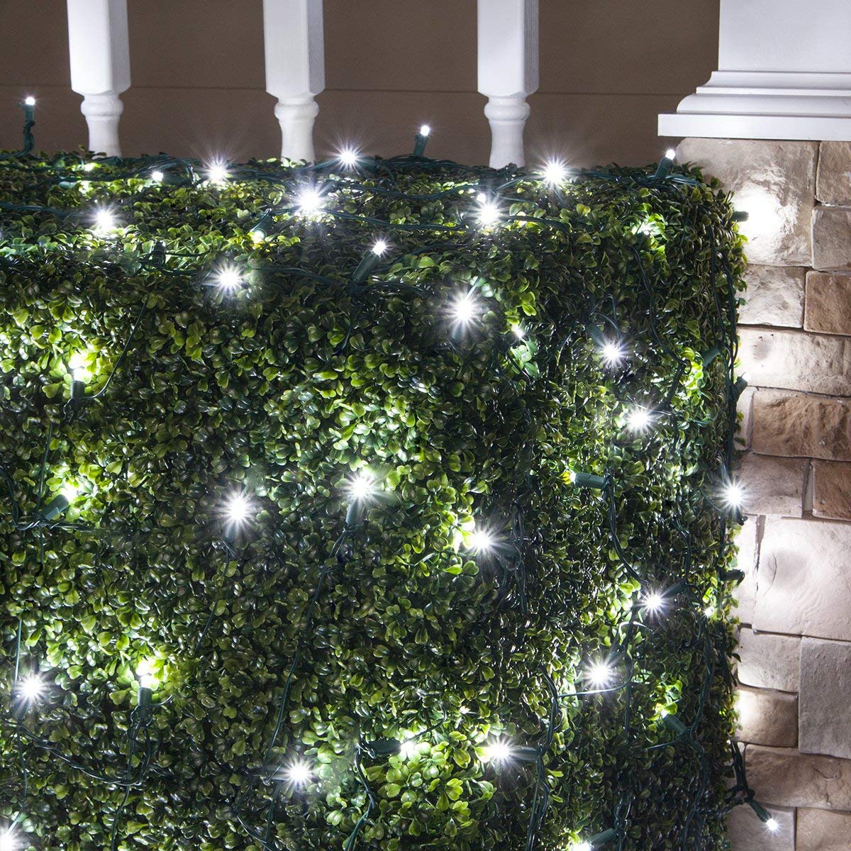 Wintergreen Lighting 100 5mm Cool White Twinkle LED Net Lights, 4 x 6 ft Green Wire Indoor/Outdoor Commercial Grade Holiday Hedge, Bush & Outdoor Christmas Décor