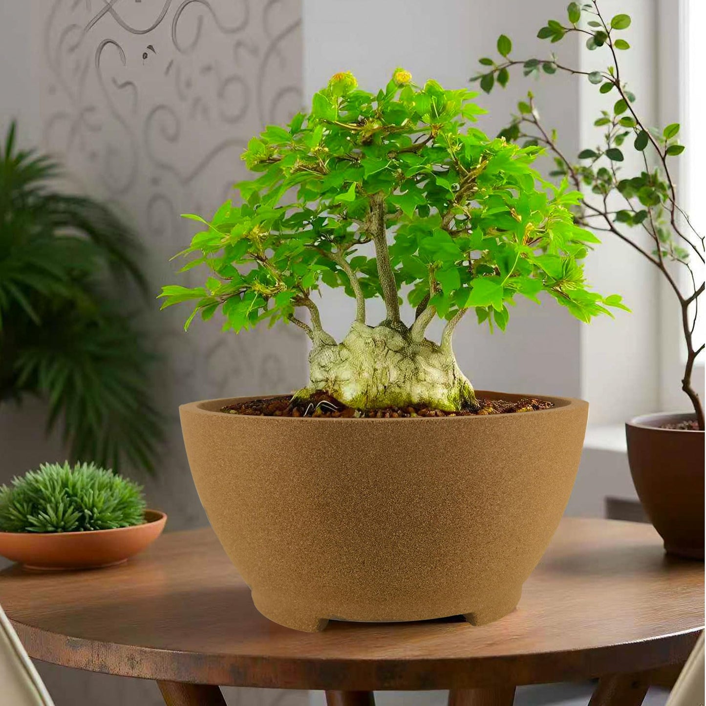 TINYVISTA 8.26" Brown Ceramic Bonsai Pot with Drainage Holes - Large Unglazed Clay Planter for Ficus Trees, Succulents & Indoor Plants, 4" Deep Round