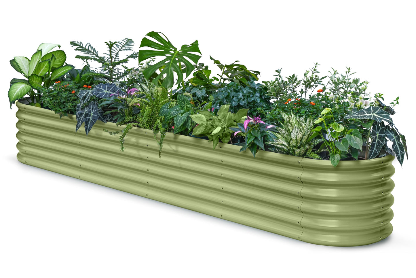 Annoell Galvanized Raised Garden Bed 8x4x1.5 ft, 18" Tall Metal Planter for Outdoor Plants Vegetable Herb Leafy Green, Modular Raised Flower Bed with Rust Resistant Coating - Moss Green