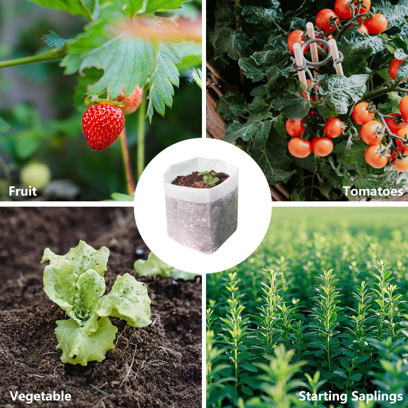 Belit Nursery Growing Bags, 100 Pcs Fabric Seedling Pots Non-Woven Pouch for Gardening Seed Plant Bag, Potato, Flower, Tomato Plant Starts (5.7" x 5.7 ")