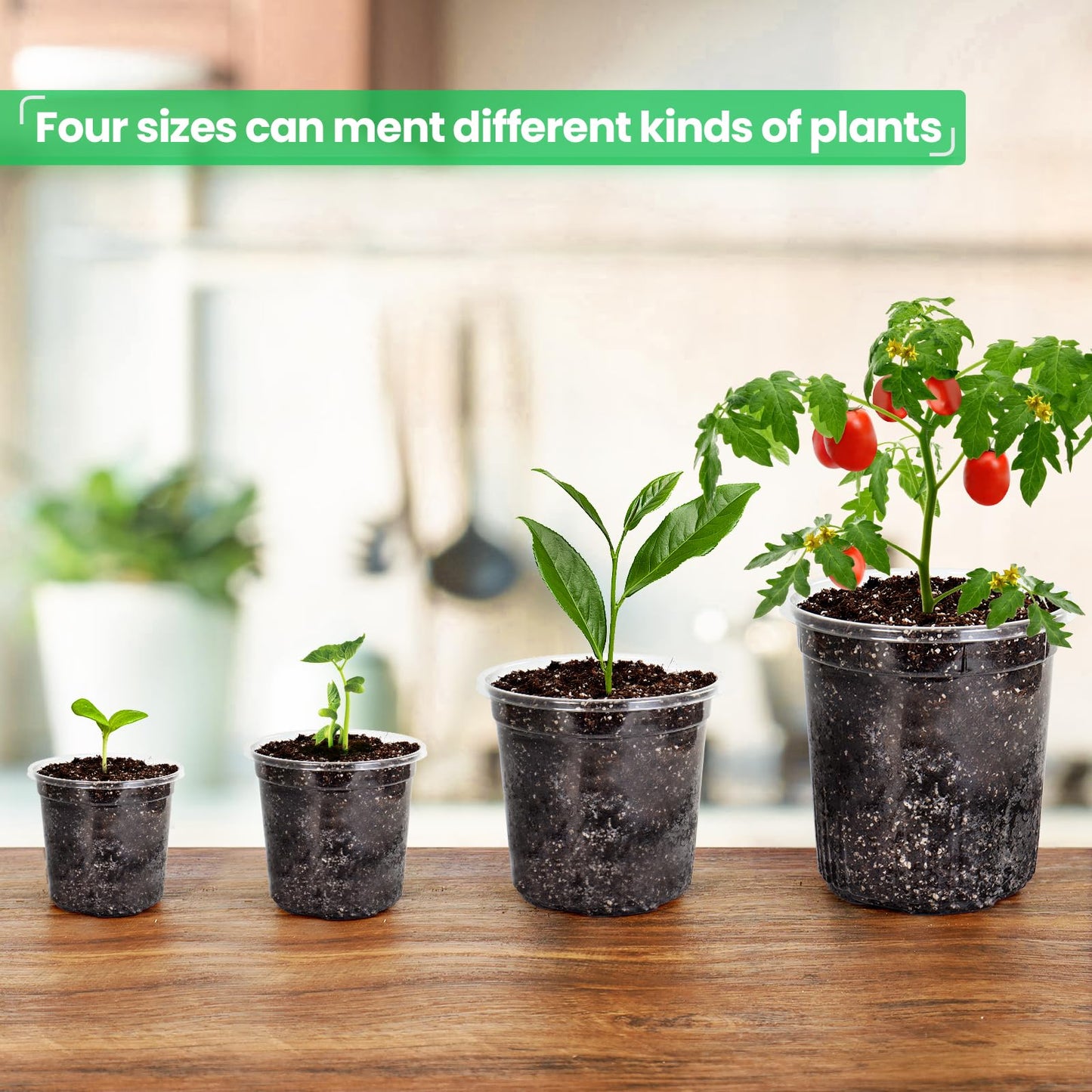 Bluepro 36 Packs 7/5/4/3.5 Inch Reinforced Clear Nursery Pots with Drainage Hole, Transparent Variety Pack Plastic Plant Pot Seedling Planter for Vegetable Propagation, Root Cutting, Seed Starting