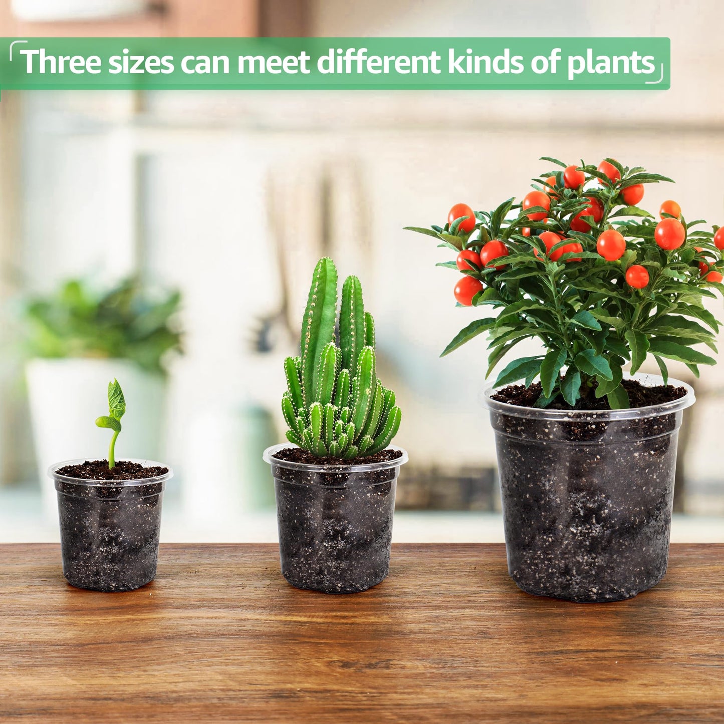 Bluepro 36 Packs 5/4/3.5 Inch Reinforced Clear Nursery Pots with Drainage Hole, Transparent Variety Pack Plastic Plant Pot Seedling Planter for Vegetable Propagation, Root Cutting, Seed Starting