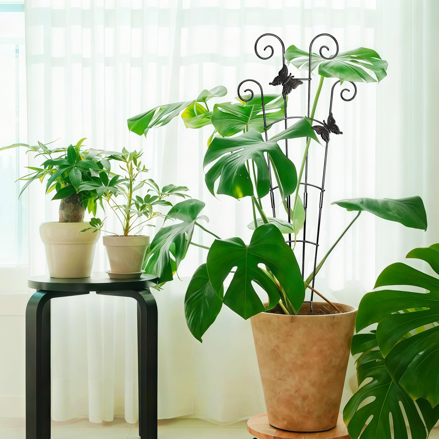 COOMIN 30'' Monstera Plant Support Outdoor, Metal Expandable Plant Supports for Indoor Plants, Garden Monstera Trellis for Climbing Plants Indoor, 2pcs