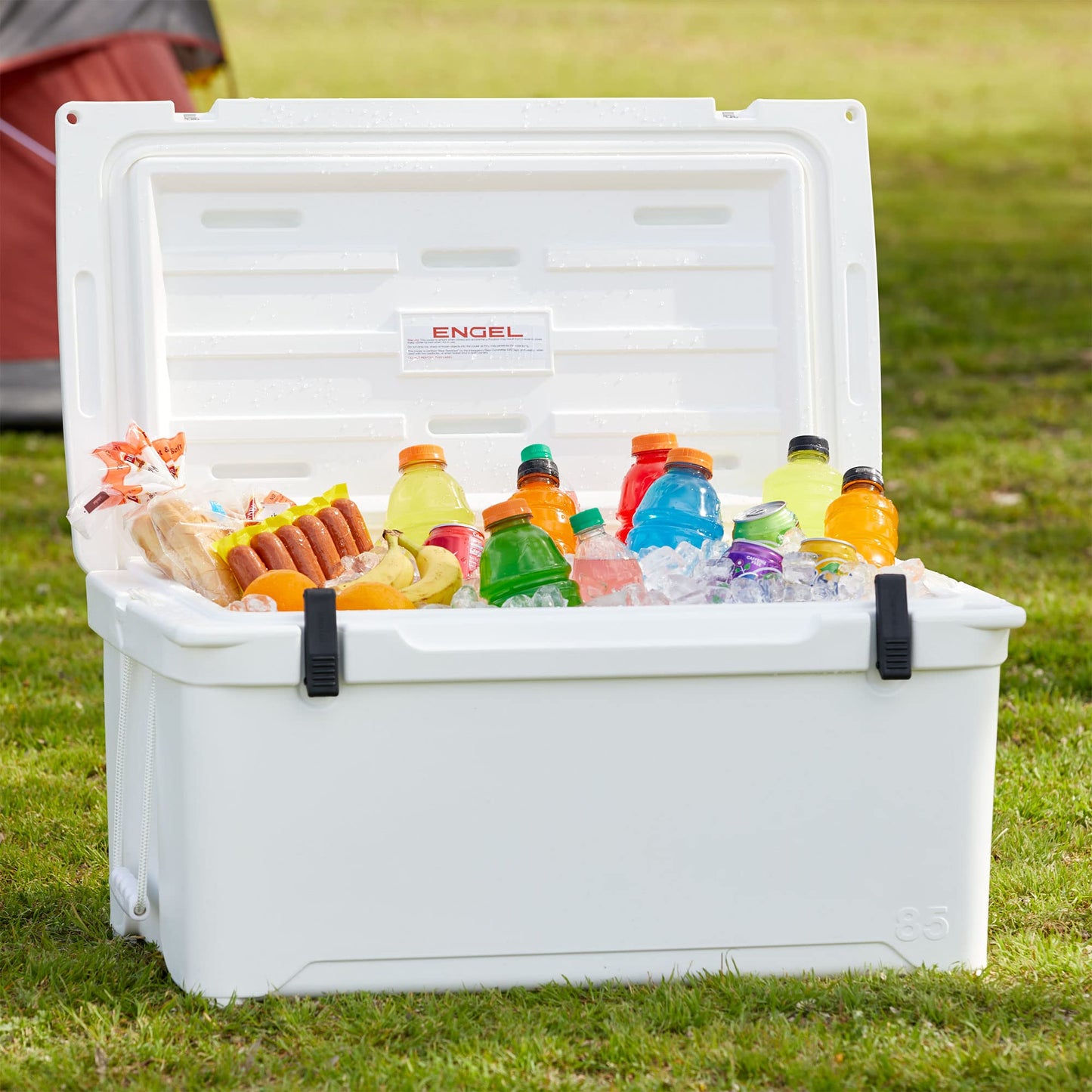 Engel ENG85 76 Quart High-Performance Low-Profile Hard Cooler and Ice Box White