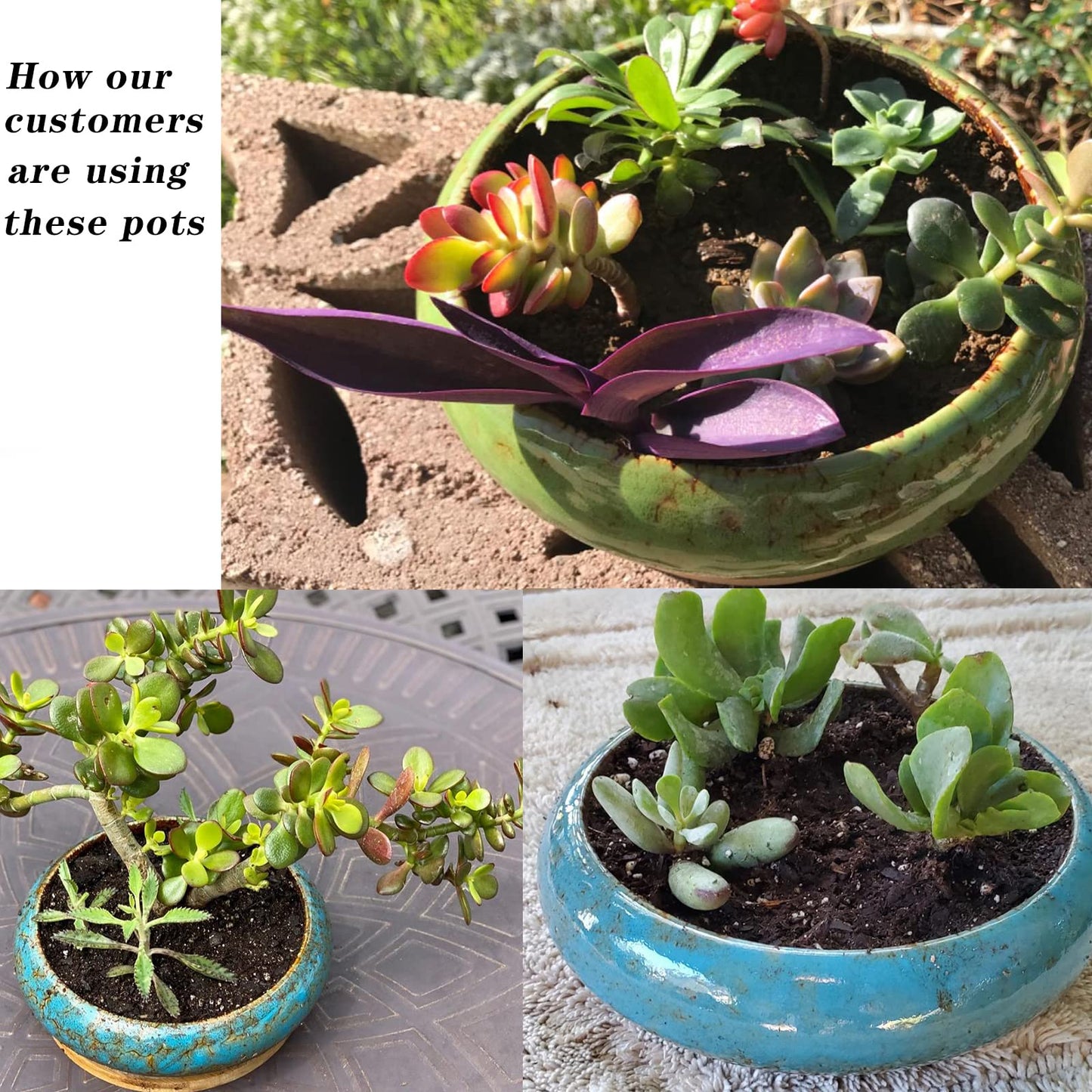 ARTKETTY Succulent Pots - Large Succulent Planters with Drainage, 7.3 Inch Ceramic Bonsai Pots with Bamboo Tray Set of 2, Shallow Cactus Flower Planter Bowl for Indoor