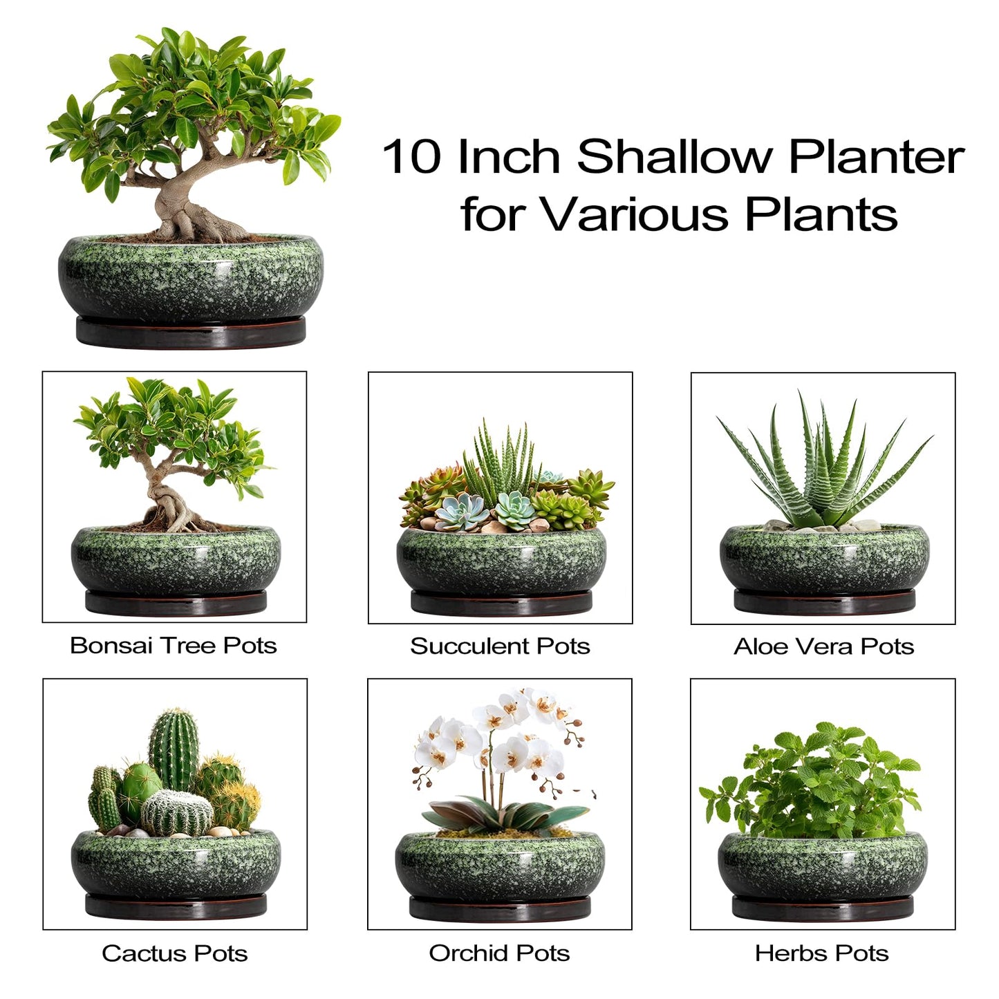 EPFamily Bonsai Pots 10 Inch - Ceramic Pots for Plants Indoor Outdoor, Succulent Pot with Drainage Hole and Saucer, Large Bonsai Planter, Round Shallow Planter, Office Decor, Gardening Gift, Green