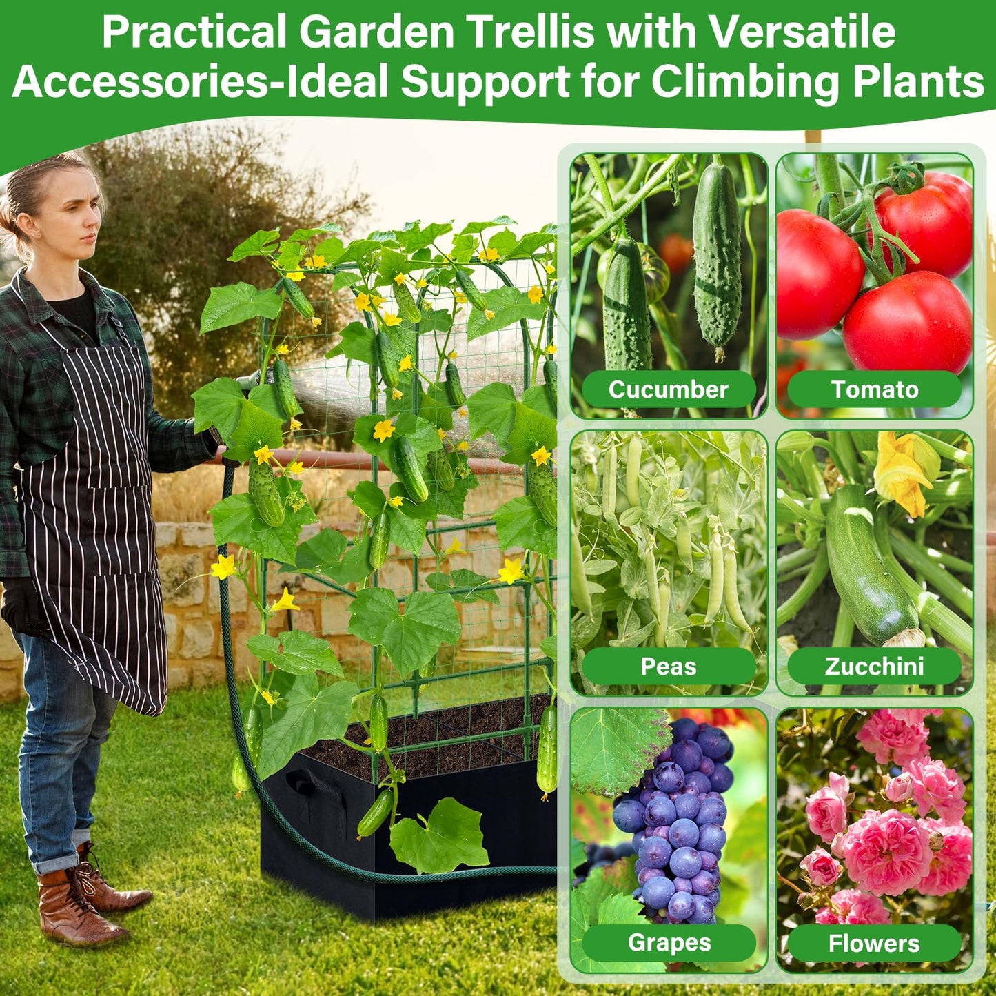 Sunwinx Garden Cucumber Trellis for Climbing Plants Outdoor with Grow Bag, 65x50 Inch Large U-Shaped Cucumber Trellis for Raised Bed, Metal Arch Plant Trellis for Vegetable Grape Pea Bean Vine Squash
