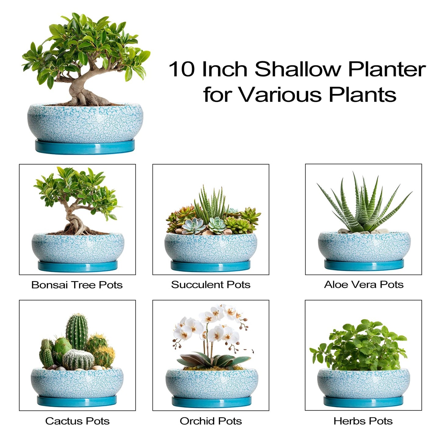 EPFamily Bonsai Pots 10 Inch - Shallow Ceramic Planters for Indoor Outdoor, Succulent Pots with Drainage Hole and Saucer, Round Planter Bowl, Succulent Planter, Garden Decor, Housewarming Gifts, Blue