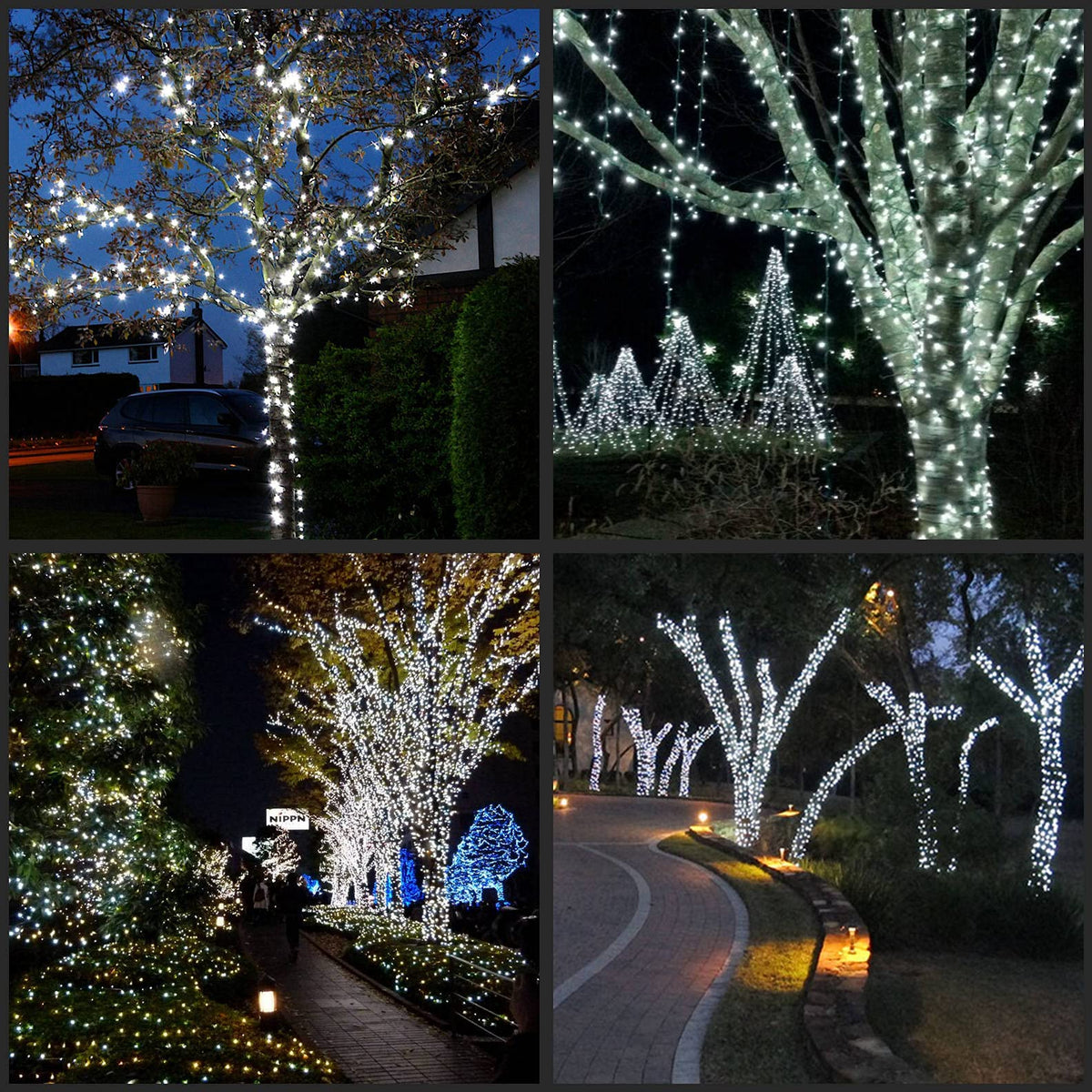 YULETIME 200 Cool White LED Christmas Lights, 66 ft Green Wire String Light