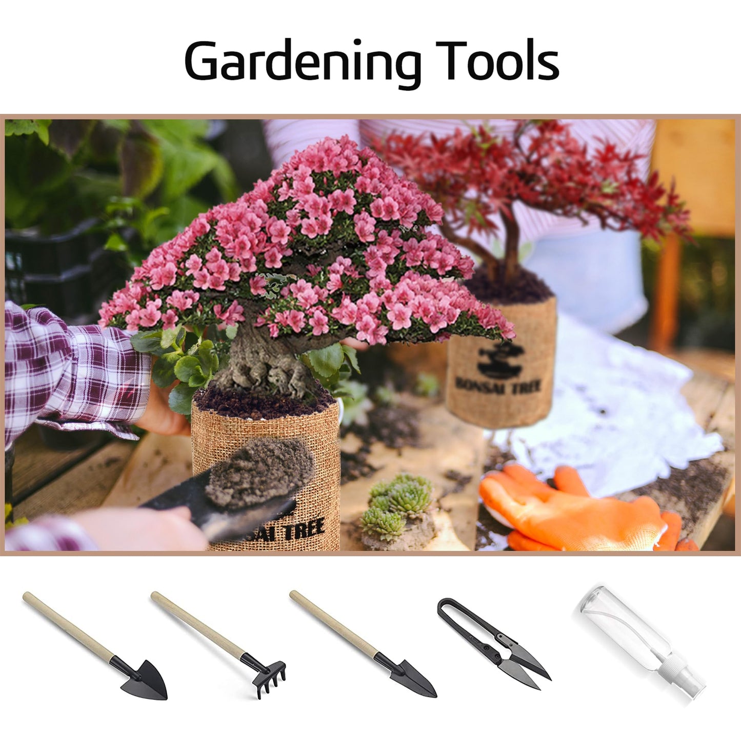 Sproutix Indoor Bonsai Garden Starter Kit, 5 Seeds Growing into Red Maple, Wisteria, Black Pine, Judas Tree, Acacia, Including Complete Gardening Planters & A Planter Box for Women