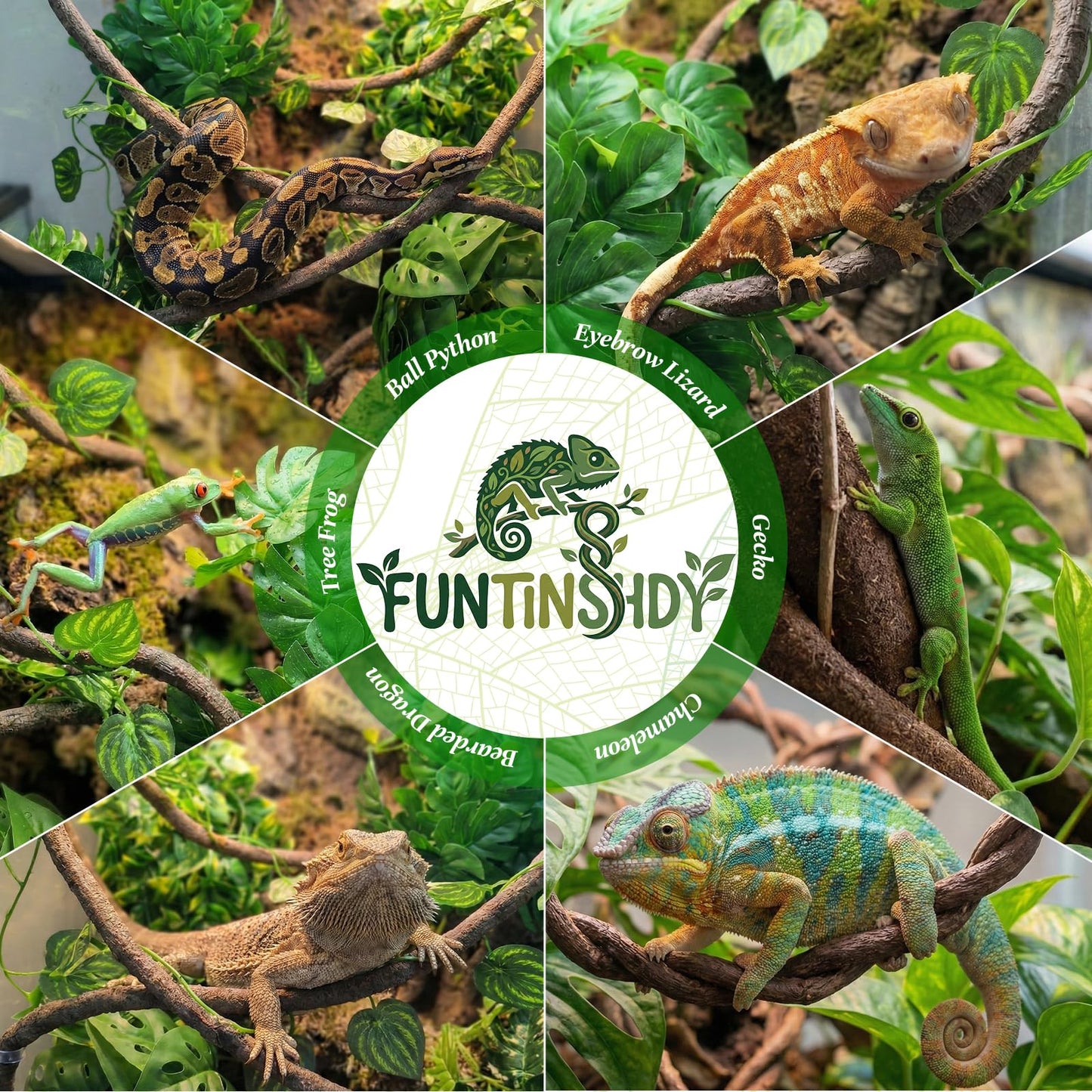 5 Pcs Reptile Plants & Habitat Decor Kit - 3 Artificial Plants & Large 5ft Jungle Vine Branch, Amphibian Habitat Hideout Tank Decorations fit Crested Gecko Leopard Lizard Chameleon Ball Python Frog