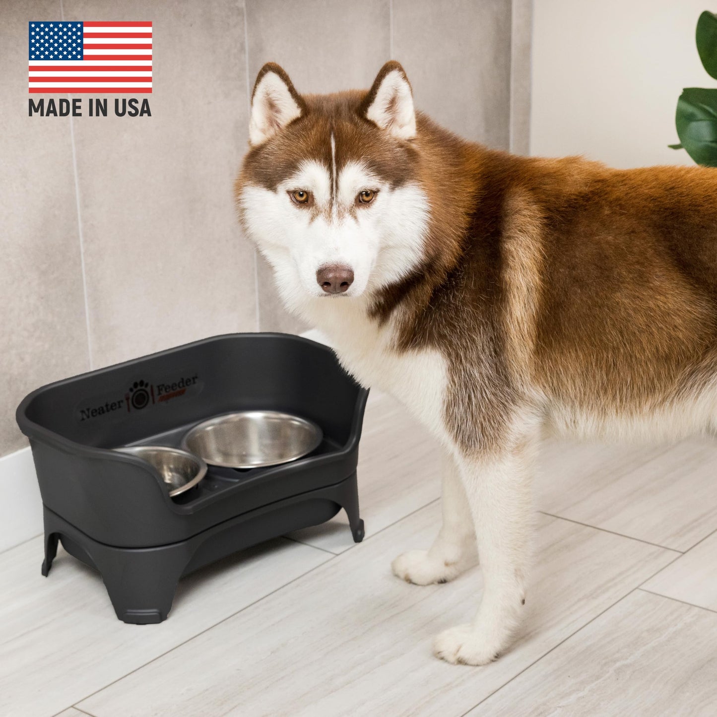 Neater Feeder Express Elevated Dog Bowls by Neater Pet Brands – Dog Bowls with Stand - Stainless Steel Food and Water Bowls – Raised Dog Bowl Set for Medium to Large Dogs, Midnight Black