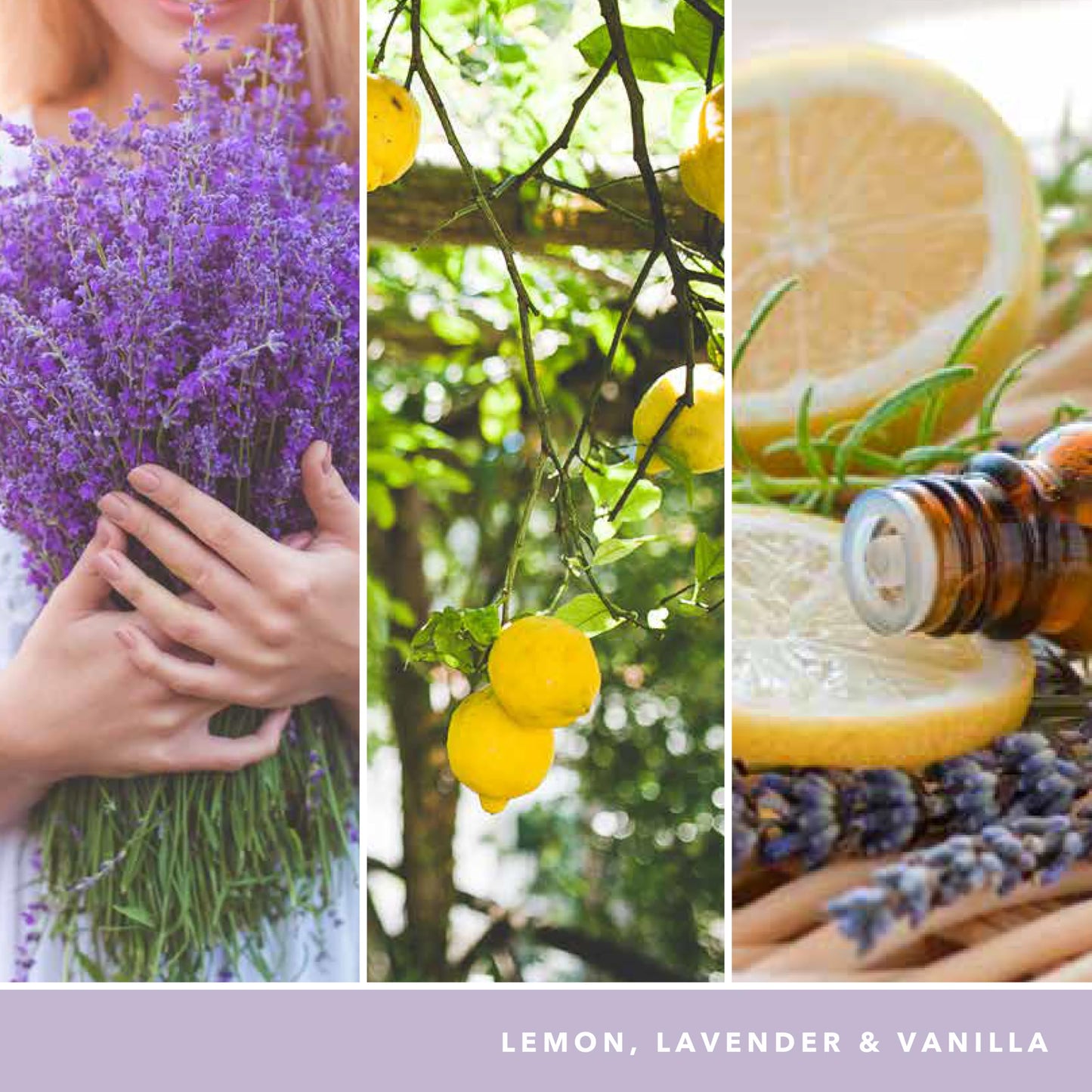 Yankee Candle Scented Candle | Lemon Lavender Large Jar | Long Burning Candles: up to 150 Hours | Perfect Gifts for Women