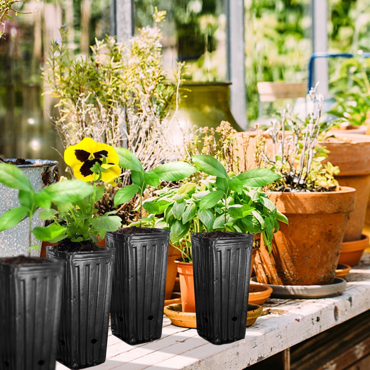 Iceyyyy 20Pcs Tall Tree Pots,Plastic Deep Nursery Treepots,7.8" Tall Seedling Flower Plant Container Pots for Indoor Outdoor Garden Plants (20pcs)
