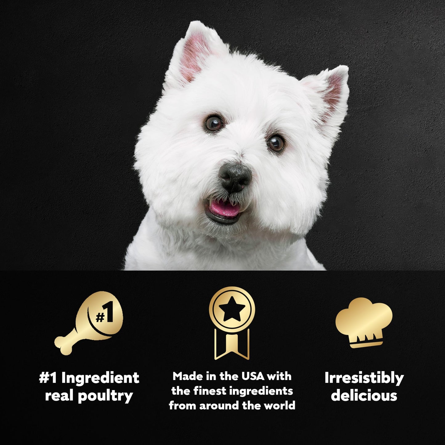 Cesar Wet Dog Food Classic Loaf in Sauce Poultry Variety Pack, 3.5 oz. Easy Peel Trays (24 Count, Pack of 1)