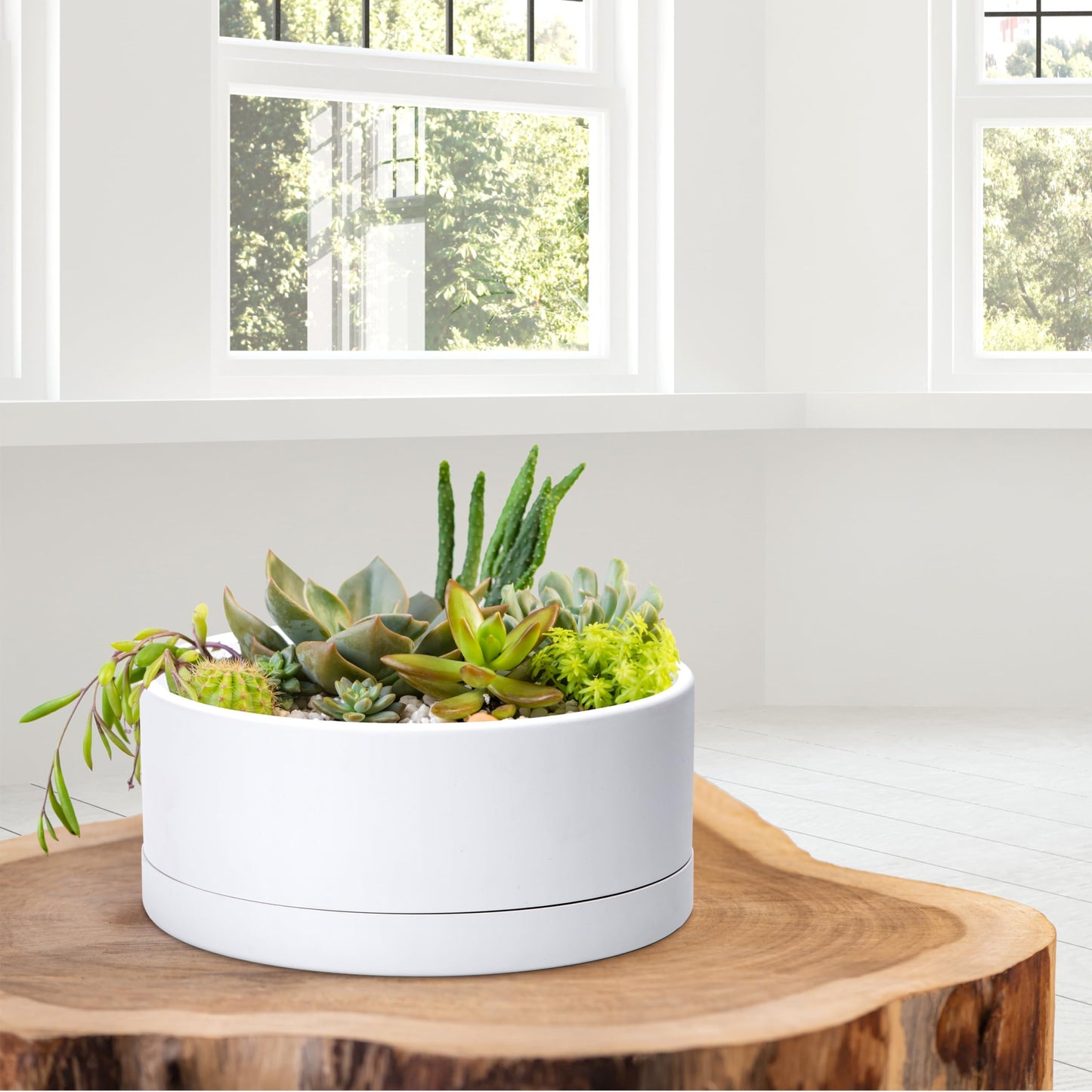 D'vine Dev 10 Inch Plastic Shallow Planter, Large Round Succulent Plant Pot with Drainage Hole and Sauce, Decorative Bonsai Pot for Indoor Plants, White, 76-Z-A-2