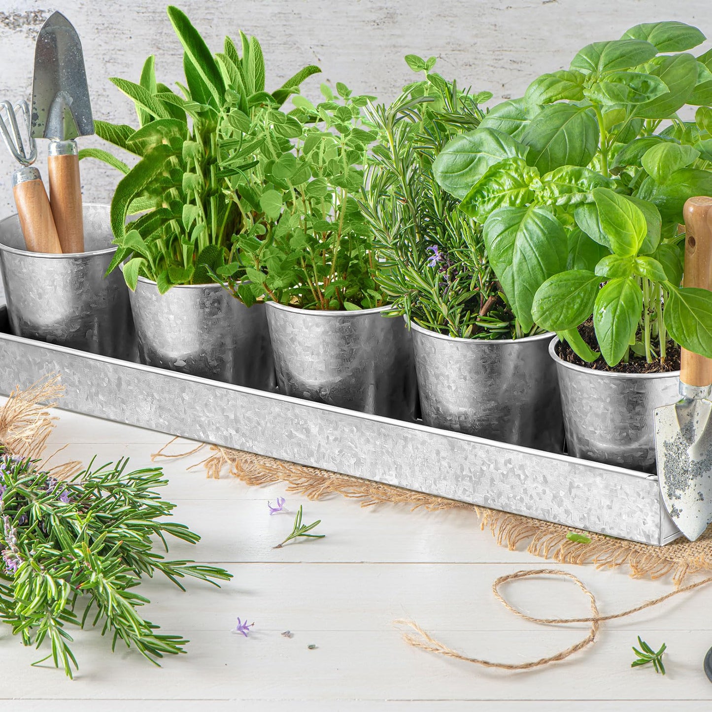 FoldTier 2 Sets Herb Garden Planter Indoor Kit with Trey 10 Pcs Metal Windowsill Plant Pots with Drainage Holes Indoor Herb Planter with Marker and Labels for Home Outdoor Plants(Silver)
