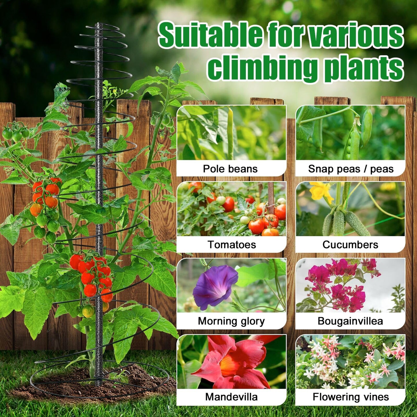 Spiral Frame Trellis for Climbing Plants Outdoor -72" Tall Heavy Duty Metal Garden Plant Tower Support with Anti-Tip Center Pole,for Pole Bean,Berry,Cucumber,Sweet Peas,Clematis,Potted Plants,Vines