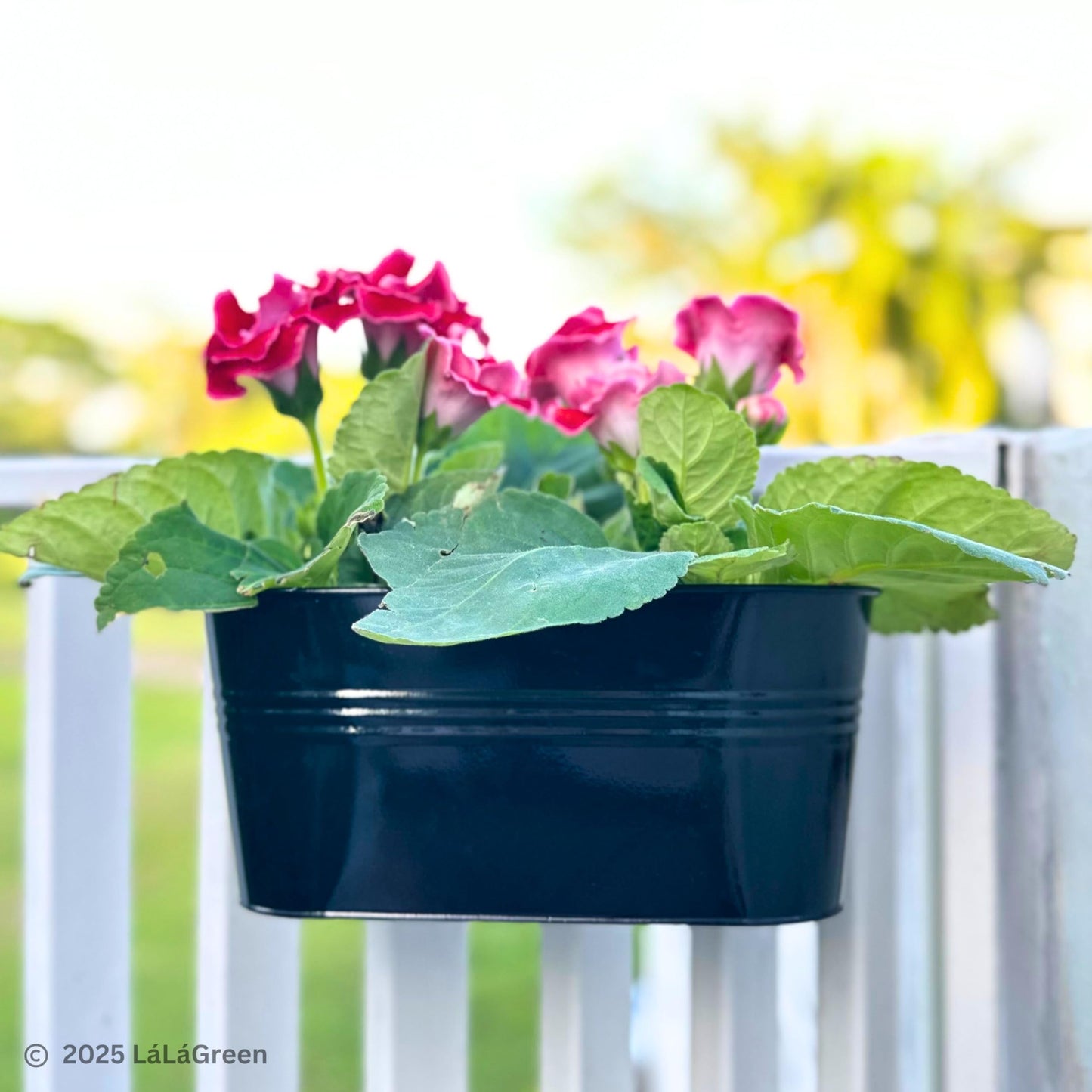 LaLaGreen Outdoor Rail Planter (11.8 Inch, 6 Pack) Black Metal Iron Hanging Flower Pots Deck Railings Fence Buckets Outside Countryside Boho Style Wall Mount Window Box Plant Holder Hook Porch Decor