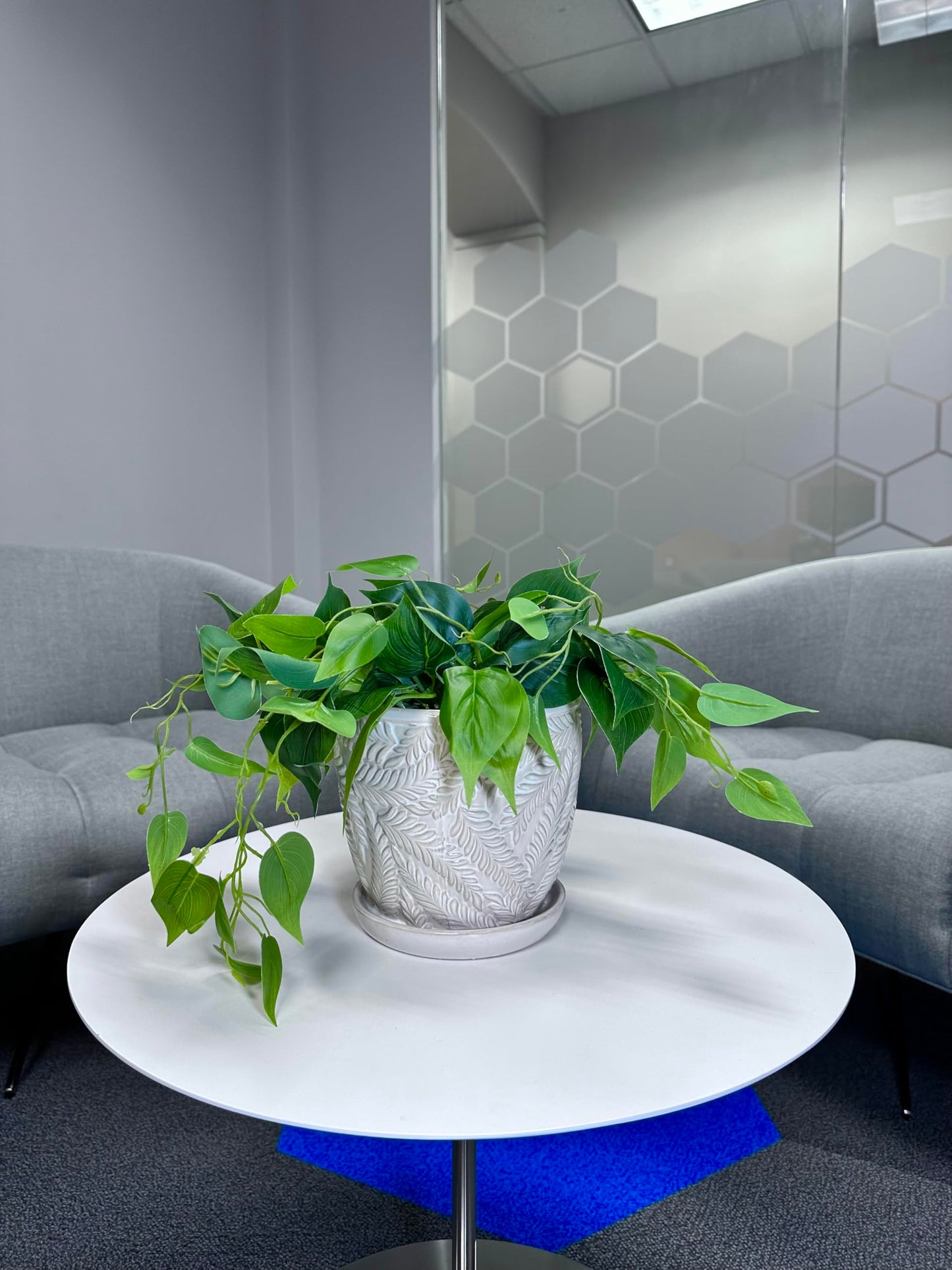 Garden & Home White 5 Inch Indoor Ceramic Planter Pot with an Attached Saucer and Drainage Hole for House Plants, Herbs, Flowers, Succulent Plants, Snake Plants, Plant Container, Gifts for Mom