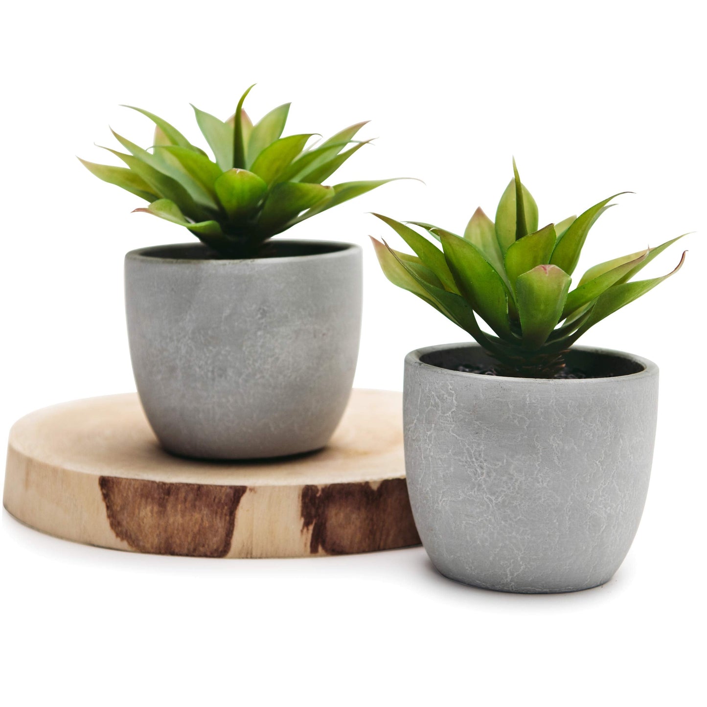 Kurrajong Farmhouse Artificial Plants Indoor | Set of 2 Fake Plants for Desk Decor | Artificial Succulents in pots | Fake Succulents| Faux Plants Indoor | Faux Agave for Shelf Decor