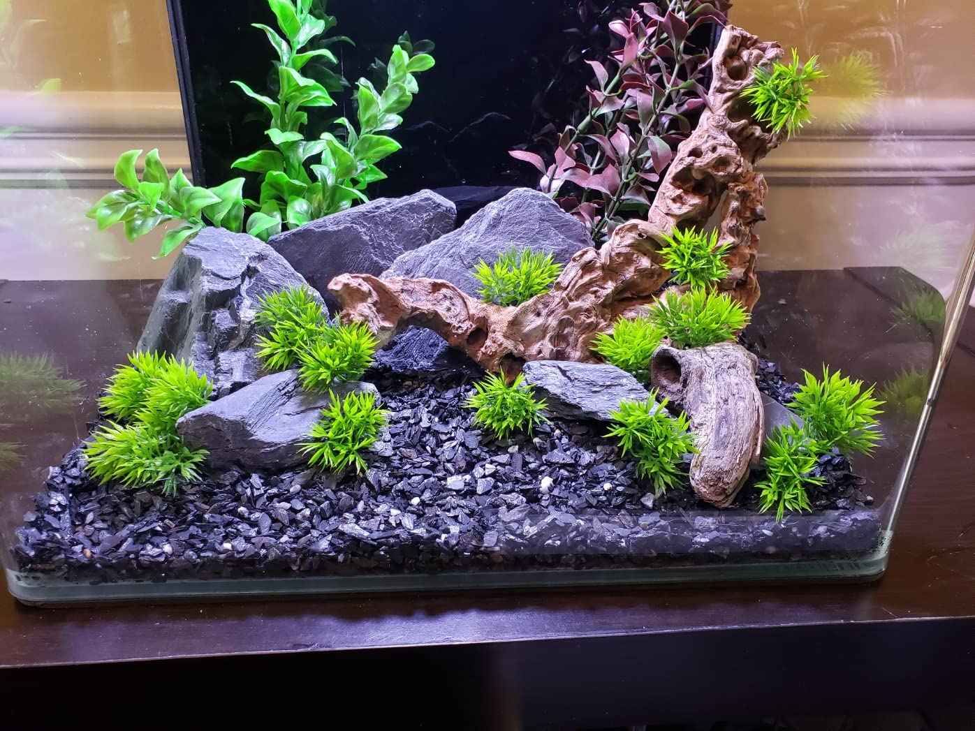 Natural Slate Stone 5 to 7 Inches - USA Sourced and Packaged for Aquascaping Aquariums, Terrariums, Paludariums, Reptile Enclosures, and Gardens (5lbs)
