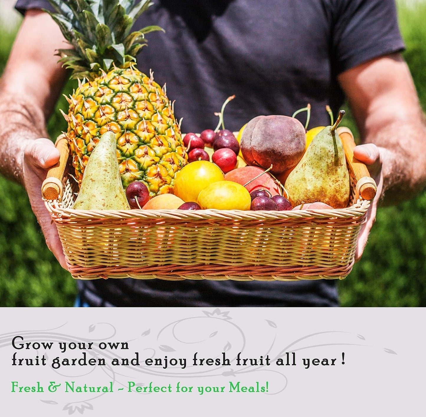 160PCS Mixed Dwarf Bonsai Fruit Tree Seeds for Planting – 5 Variety Pack: 40 Lemon, 40 Orange, 40 Apple, 20 Cherry, 20 Blueberry – Heirloom Non-GMO Fruit Seeds for Indoor & Outdoor Garden