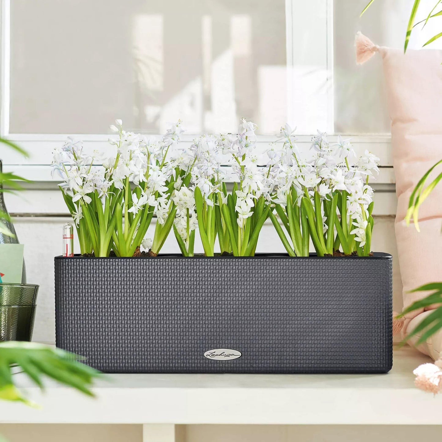 Lechuza Cube Color Triple Self Watering Plant Pot, Slate, 40 cm Diameterx 14 cm Width x 13.5 cm Height