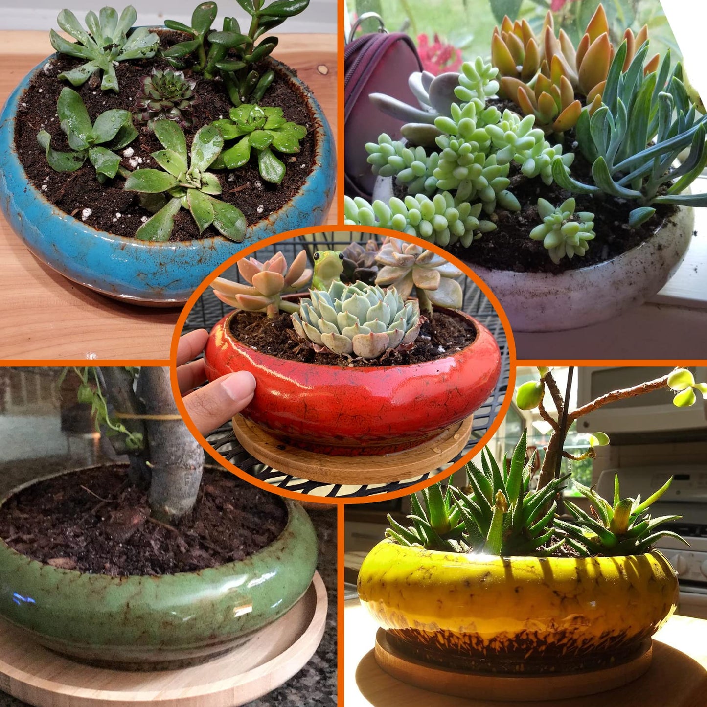 ARTKETTY Succulent Pots - 7.3 Inch Large Succulent Planters with Drainage Ceramic Bonsai Pots with Bamboo Tray, Shallow Planters for Indoor Cactus Plants Decorative Flower Plant Container