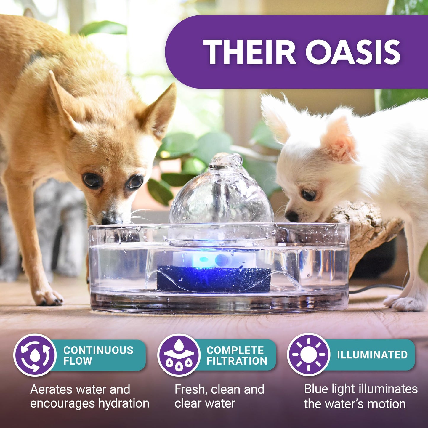 Brook Glass Pet Fountain (90oz/2.7L) β Cat Water Fountain & Small Dog Drinking Fountain β Automatic Water Dispenser Cat Fountain