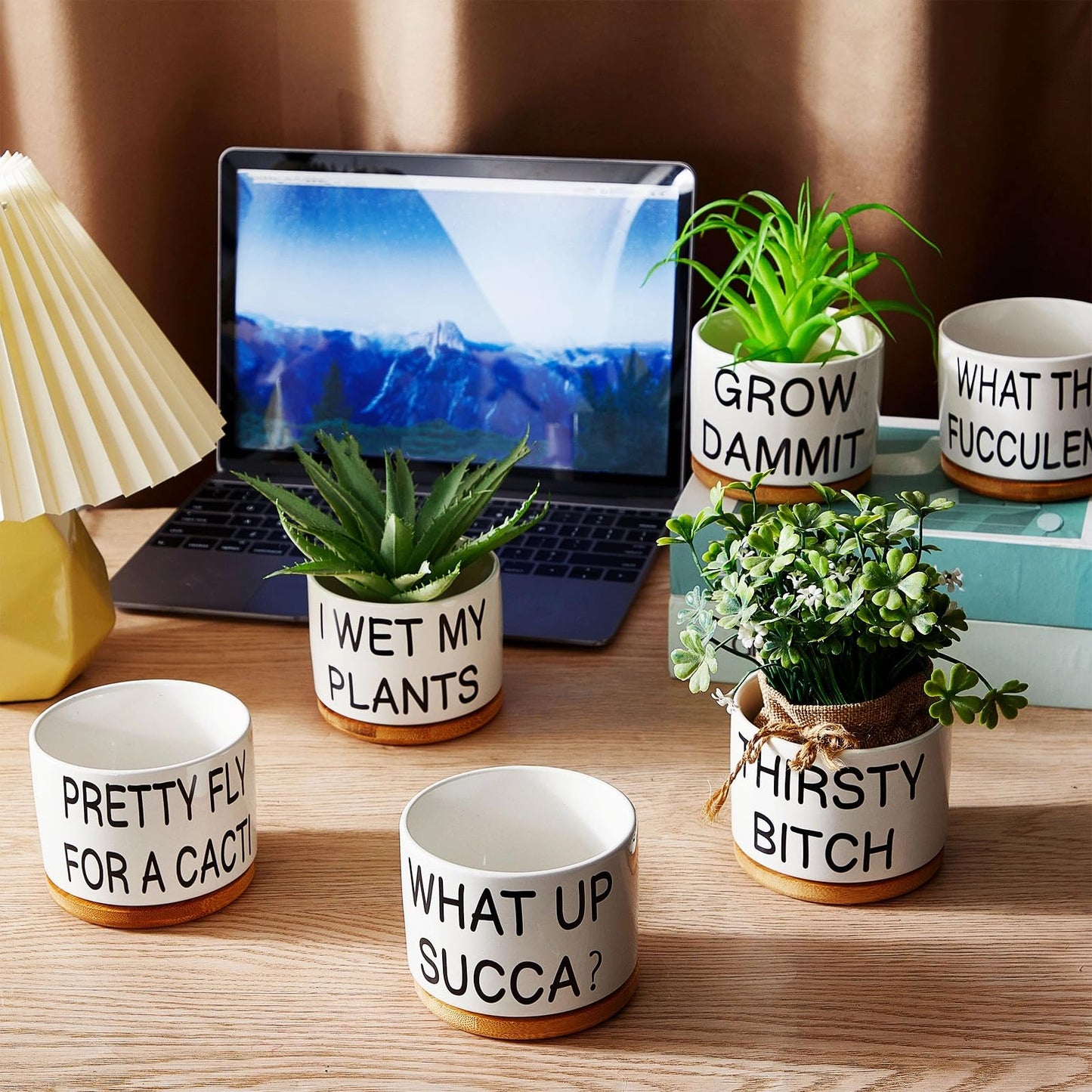 Suclain 6 Set Succulent Flower Cactus Planter Gifts Plant Cactus Flower Ceramic Funny Planter Pots Succulent Planters with Drainage Hole and Bamboo Saucers for Women Men Party Favor