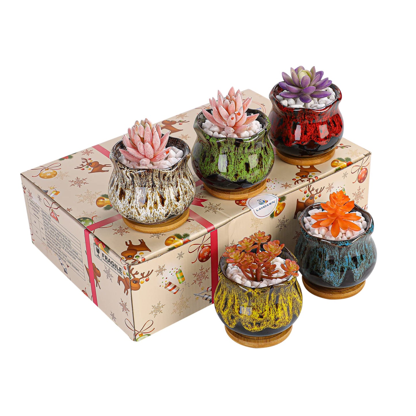 LamDawn Cute Ceramic Succulent Garden Pots, Planter with Drainage and Attached Saucer, Set of 5 -Plants Not Included (Fambe)