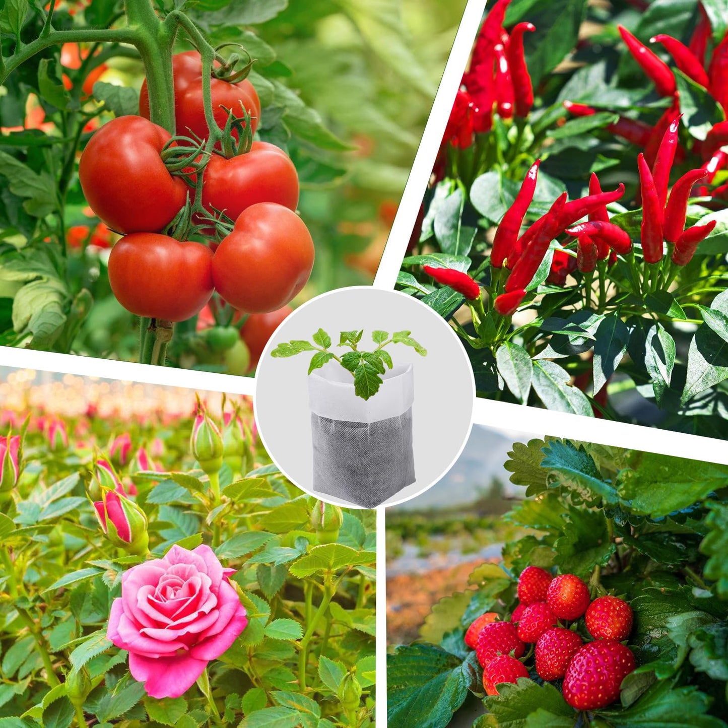 Cosweet 11.6''H Deep Nursery Grow Bags, Non-Woven Fabric Planting Pots for Indoor and Outdoor Garden Growing Seedlings Vegetables Flowers Fruits (60 PCS)