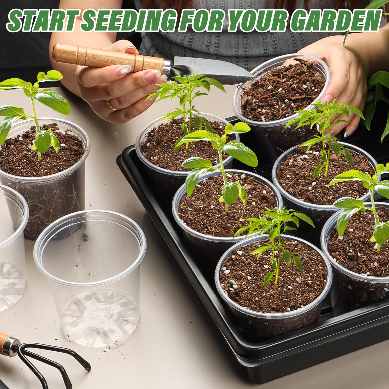 RooTrimmer 3.5" Clear Seeding Pots 100-Pack Round for Seeds Starter Pots, Seeds Germination Transparent Nursery Pots with Drainage Holes (100PCS)
